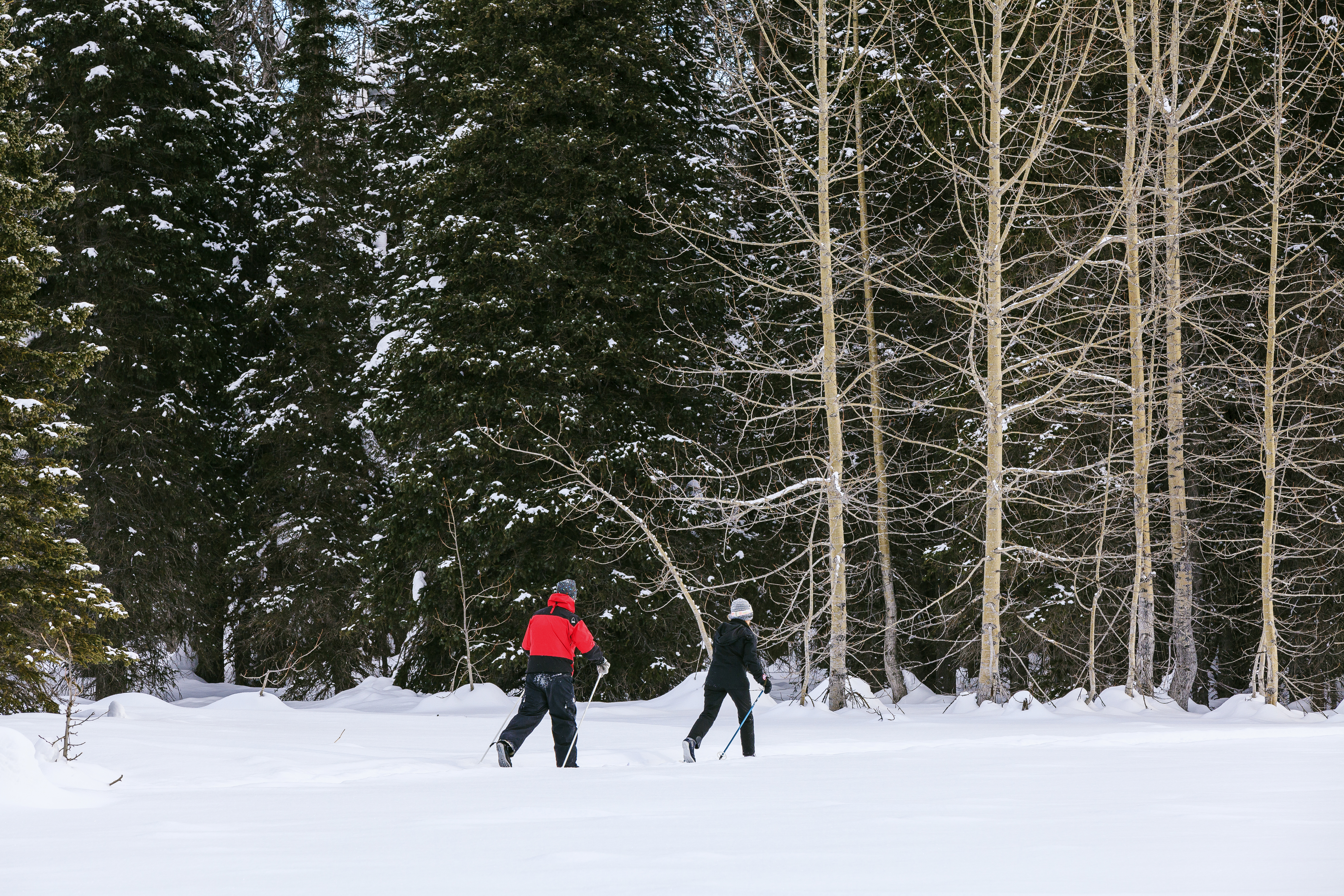 winterlake-lodge-skwentna-ak