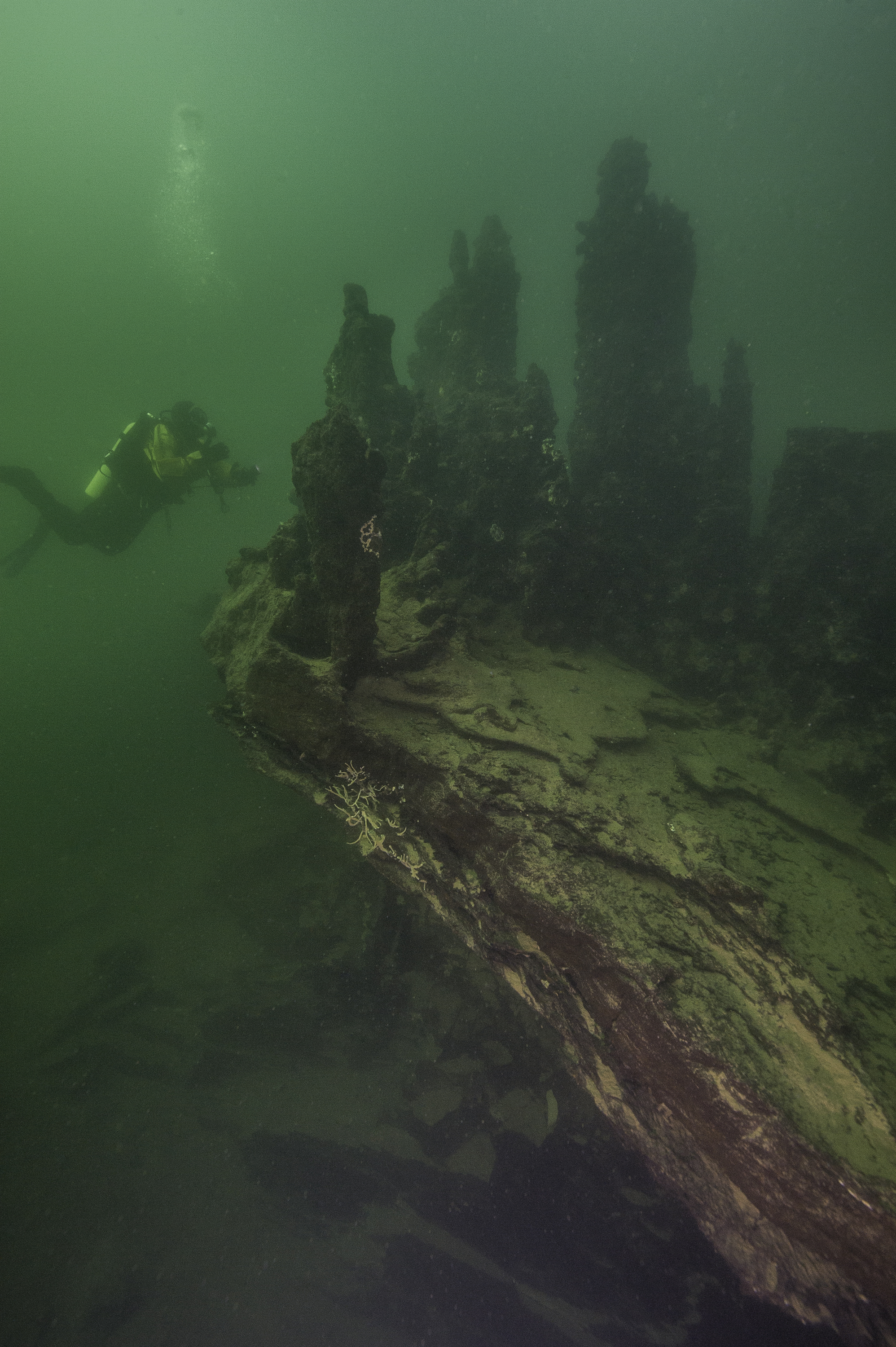 a-dormant-yellowstone