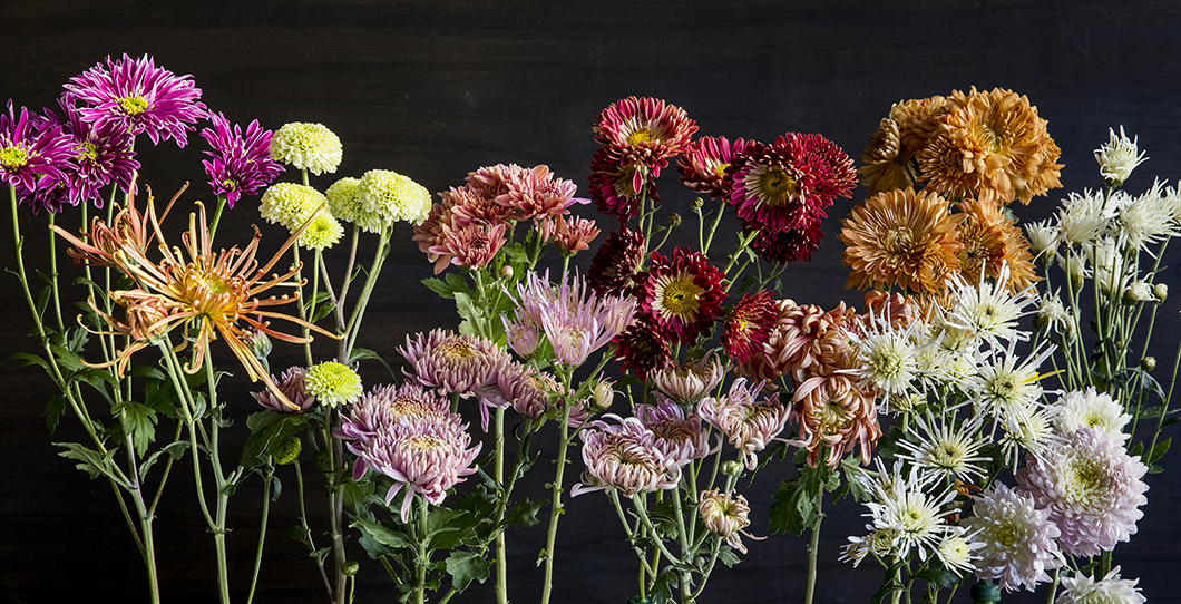 rethinking-the-mighty-mum