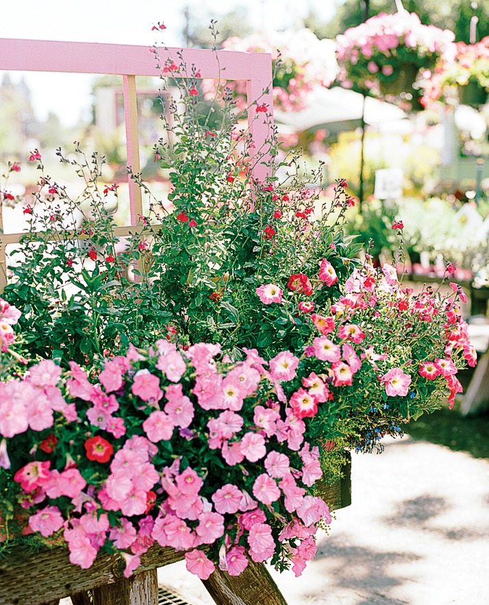 3-learn-some-new-tricks