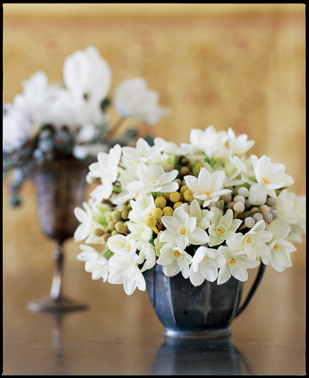 paperwhite-narcissus