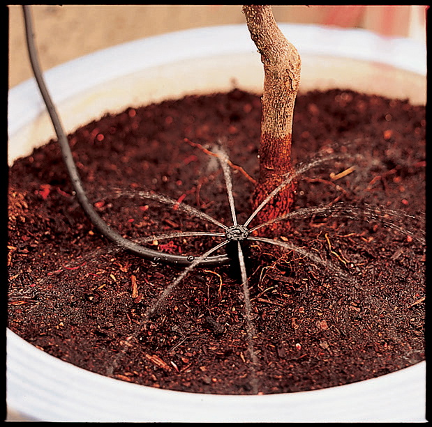 multi-outlet-emitter