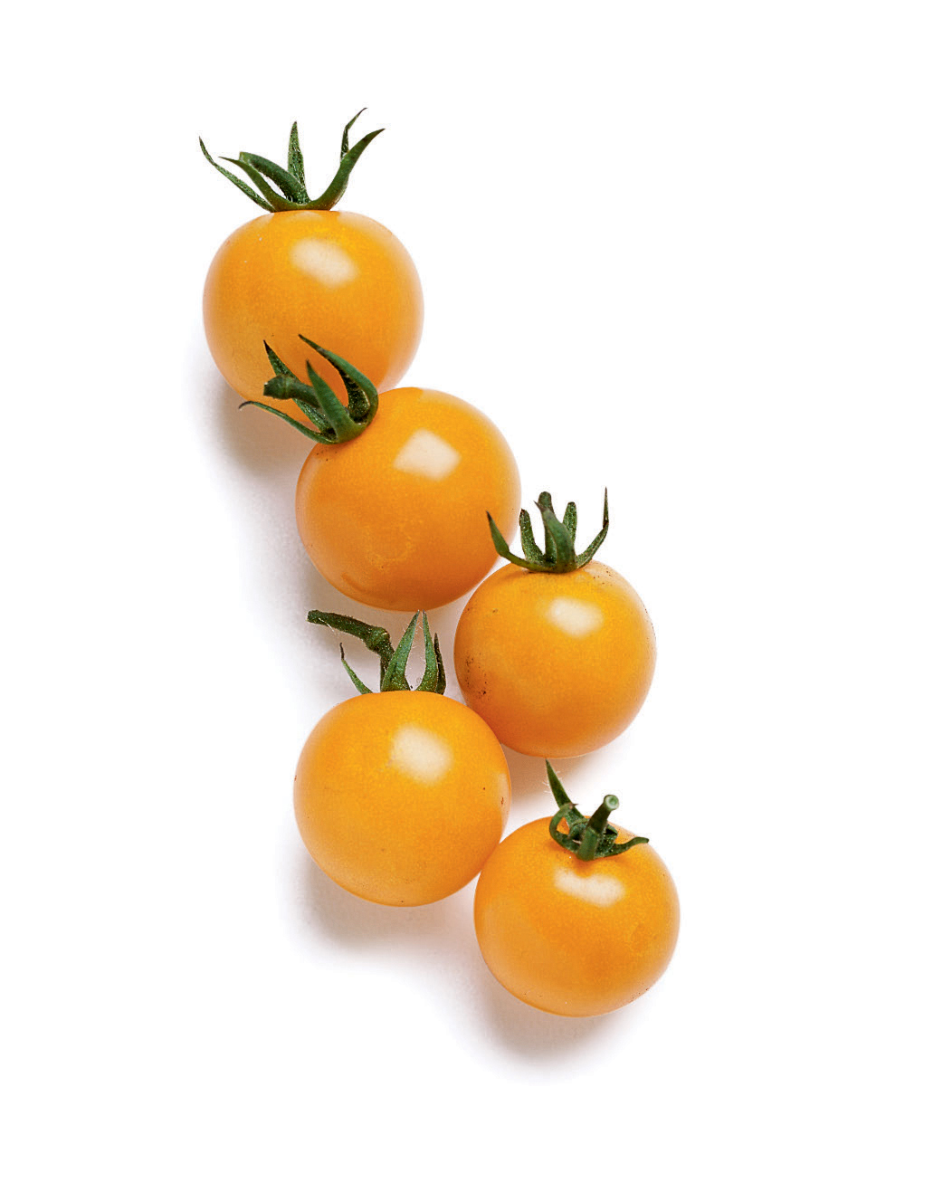 5 Best Cherry Tomatoes