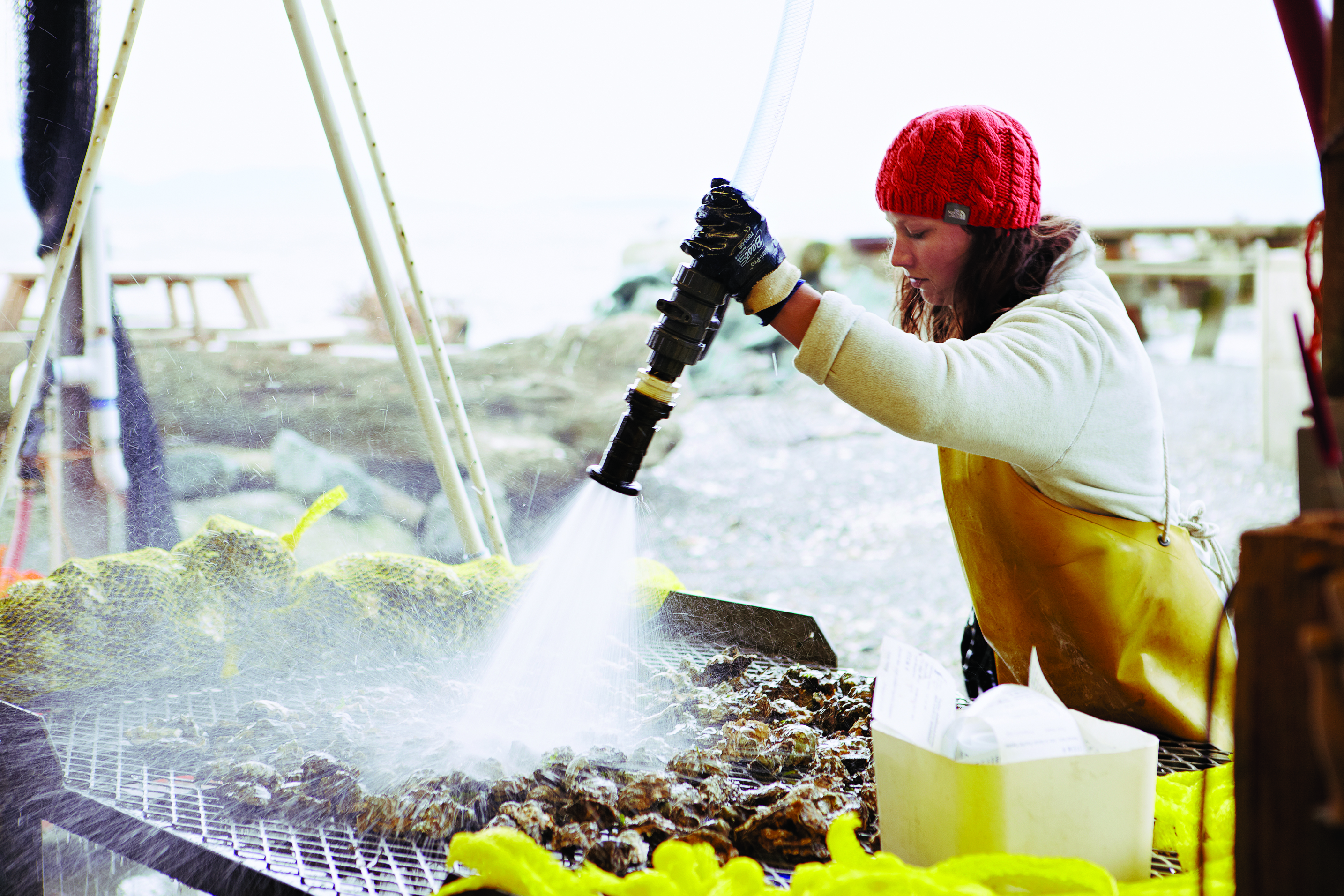 78-86-oceanside-oysters