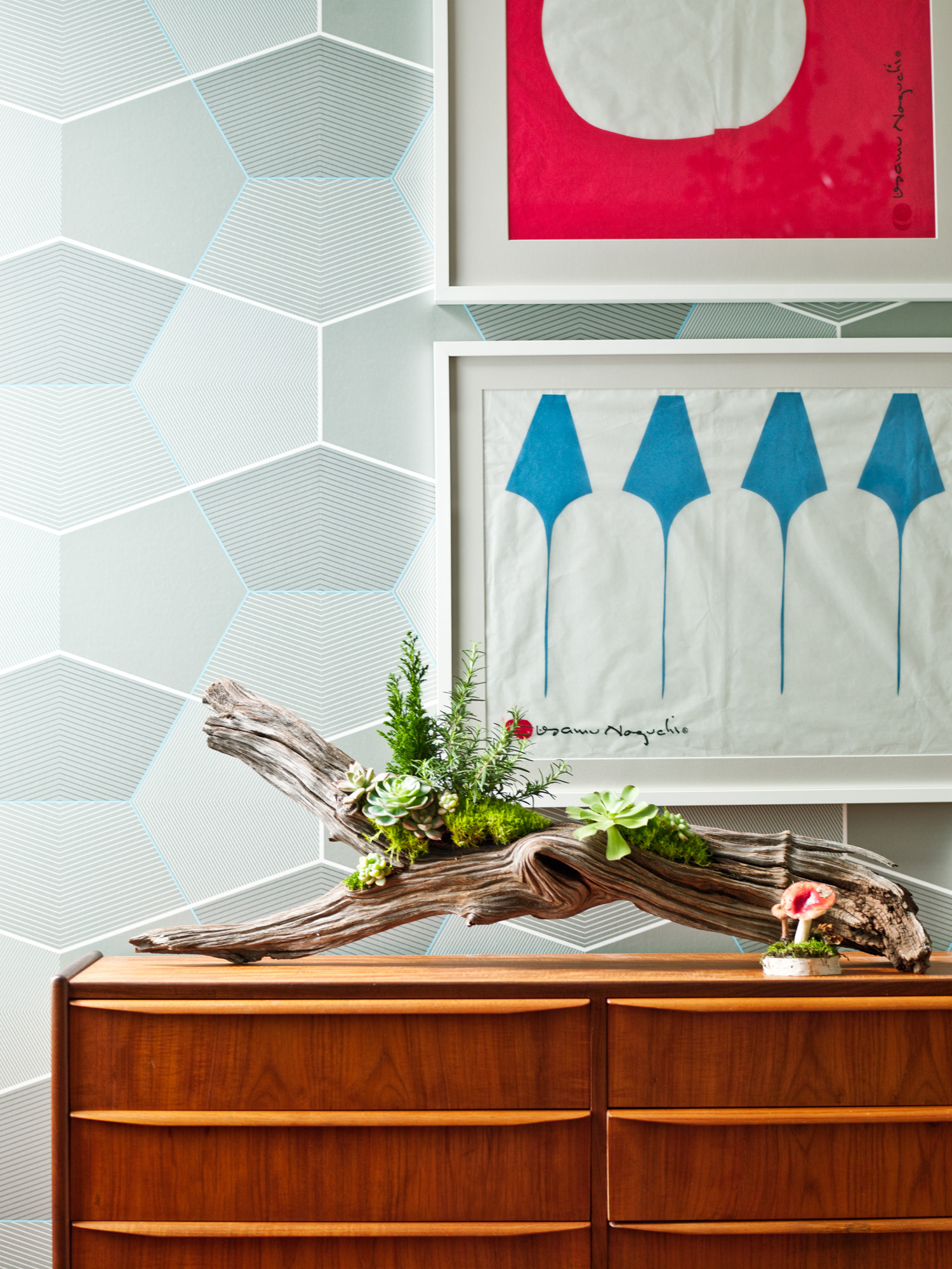 driftwood-arrangement