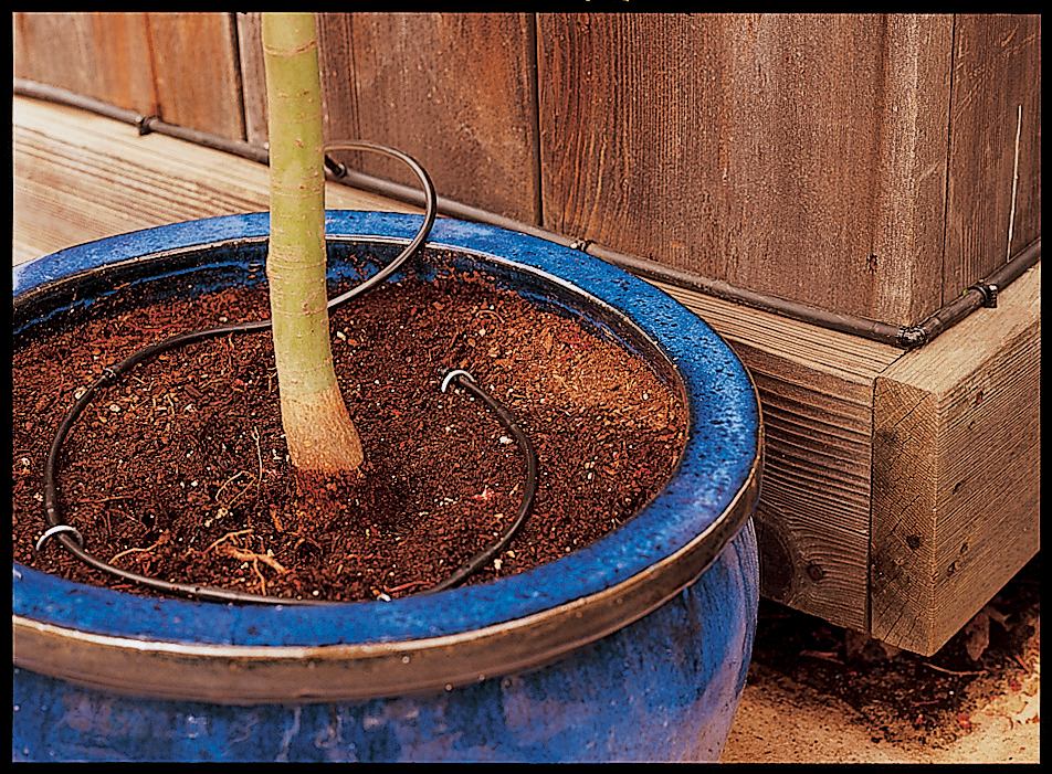 a-circle-of-emitter-line