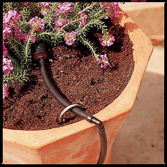 Drip Watering for Containers - Sunset Magazine - Sunset ...