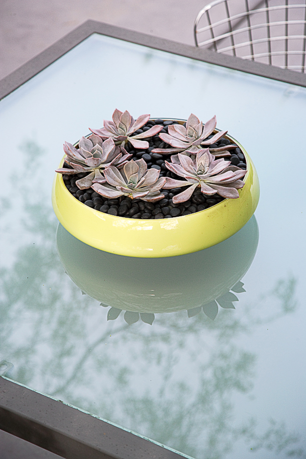 easy-succulent-centerpiece