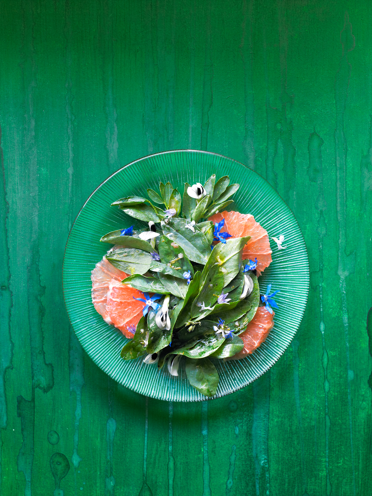 fava-green-grapefruit-and-flower-salad