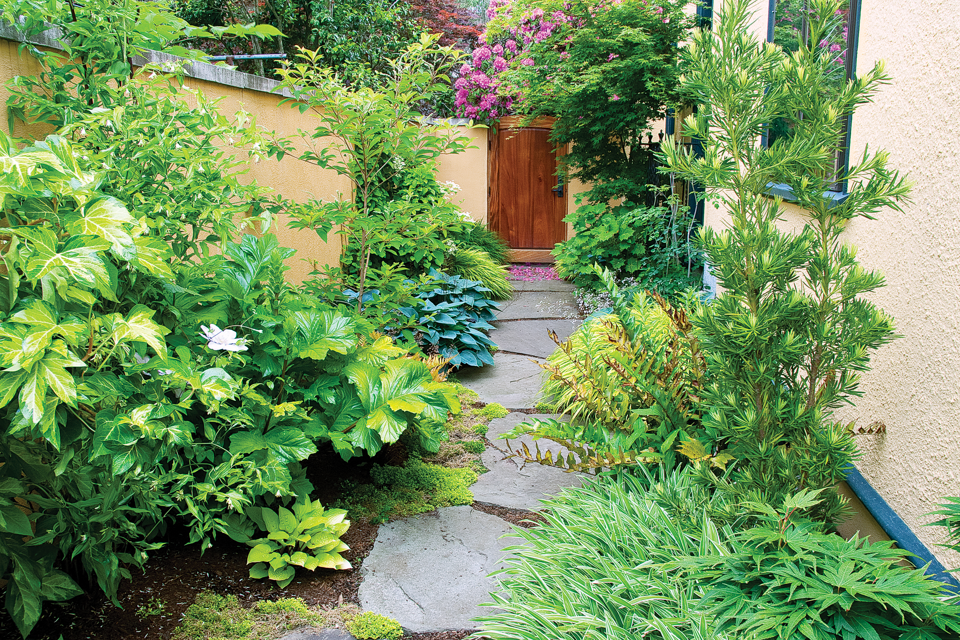 12 Ideas For Side Yards Sunset Magazine