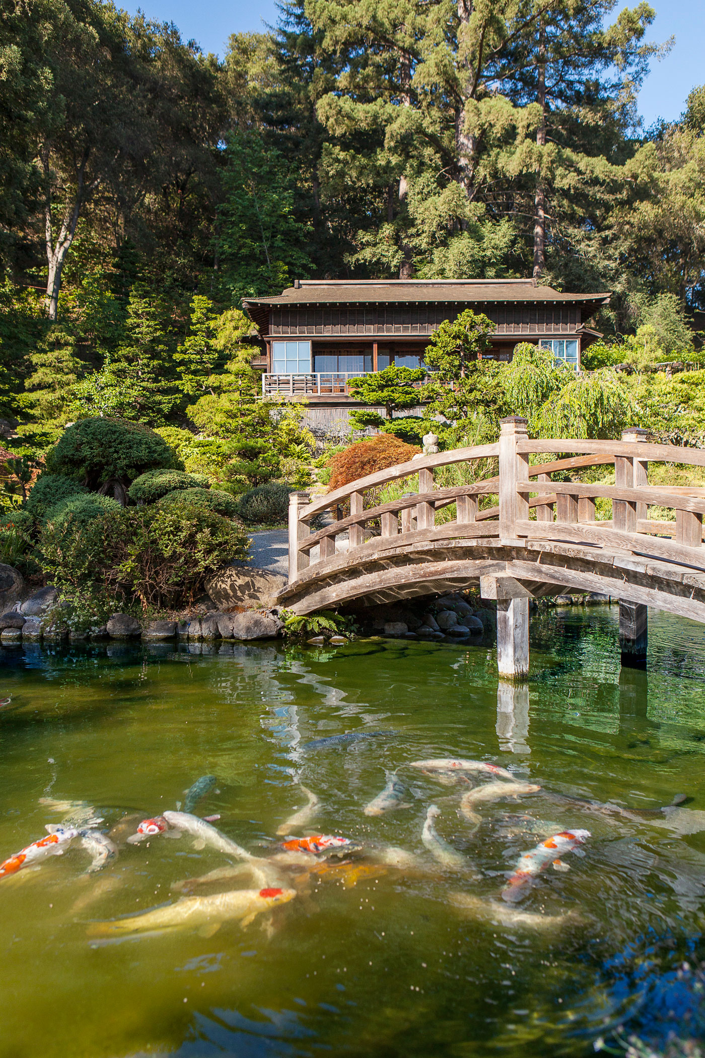 hakone-estate-gardens