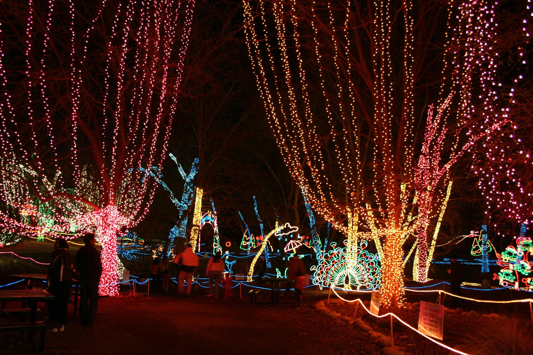 california-living-museum-holiday-lights-bakersfield-ca
