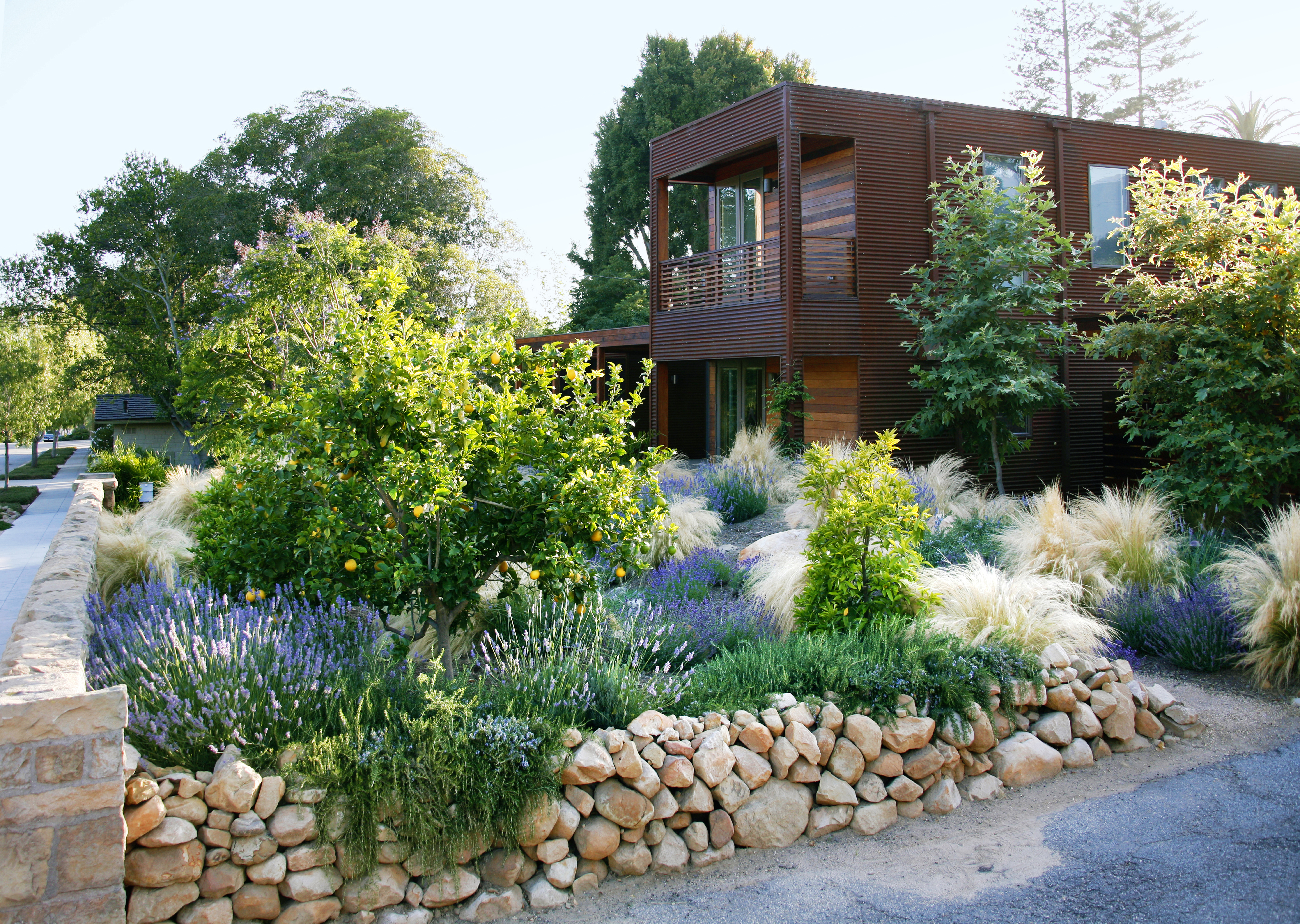 Designing With Drought Resistant Plants Sunset Magazine