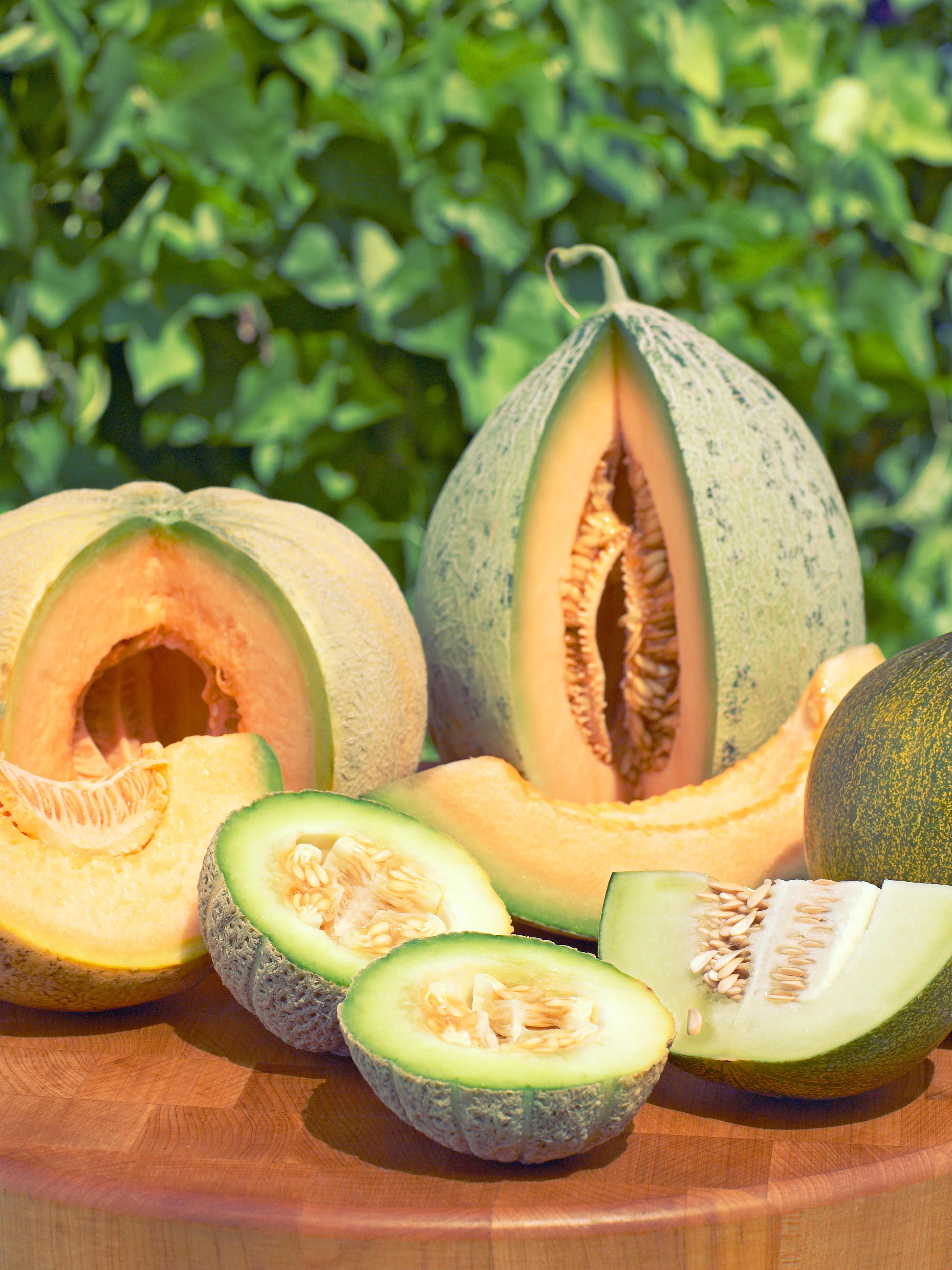 Garden-to-Table Guide to Melons