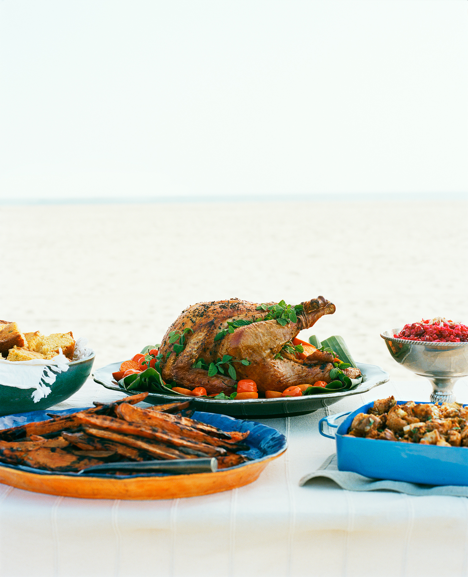 chile-and-spice-grilled-turkey-and-mole-gravy