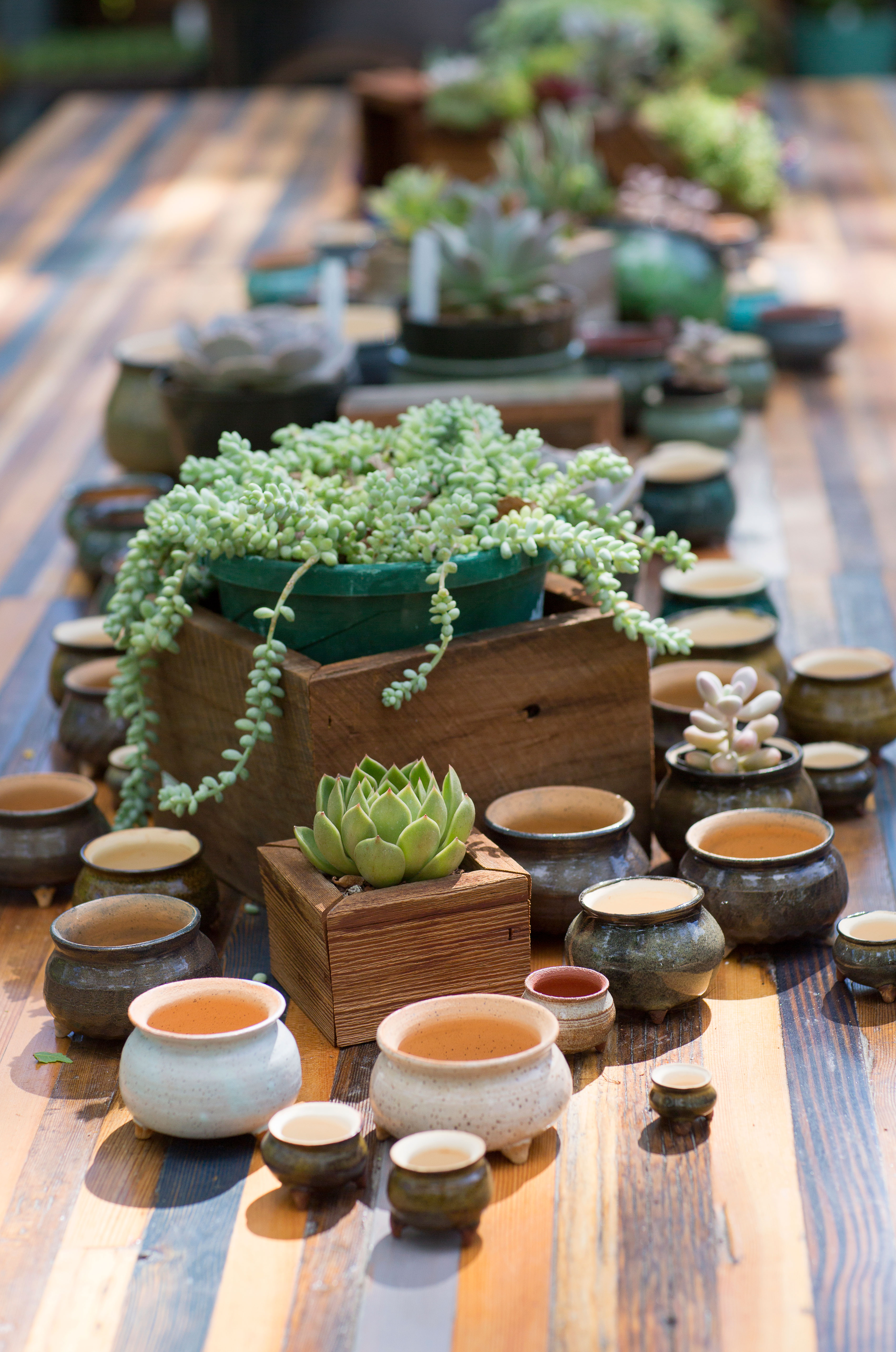 with-a-side-of-pottery