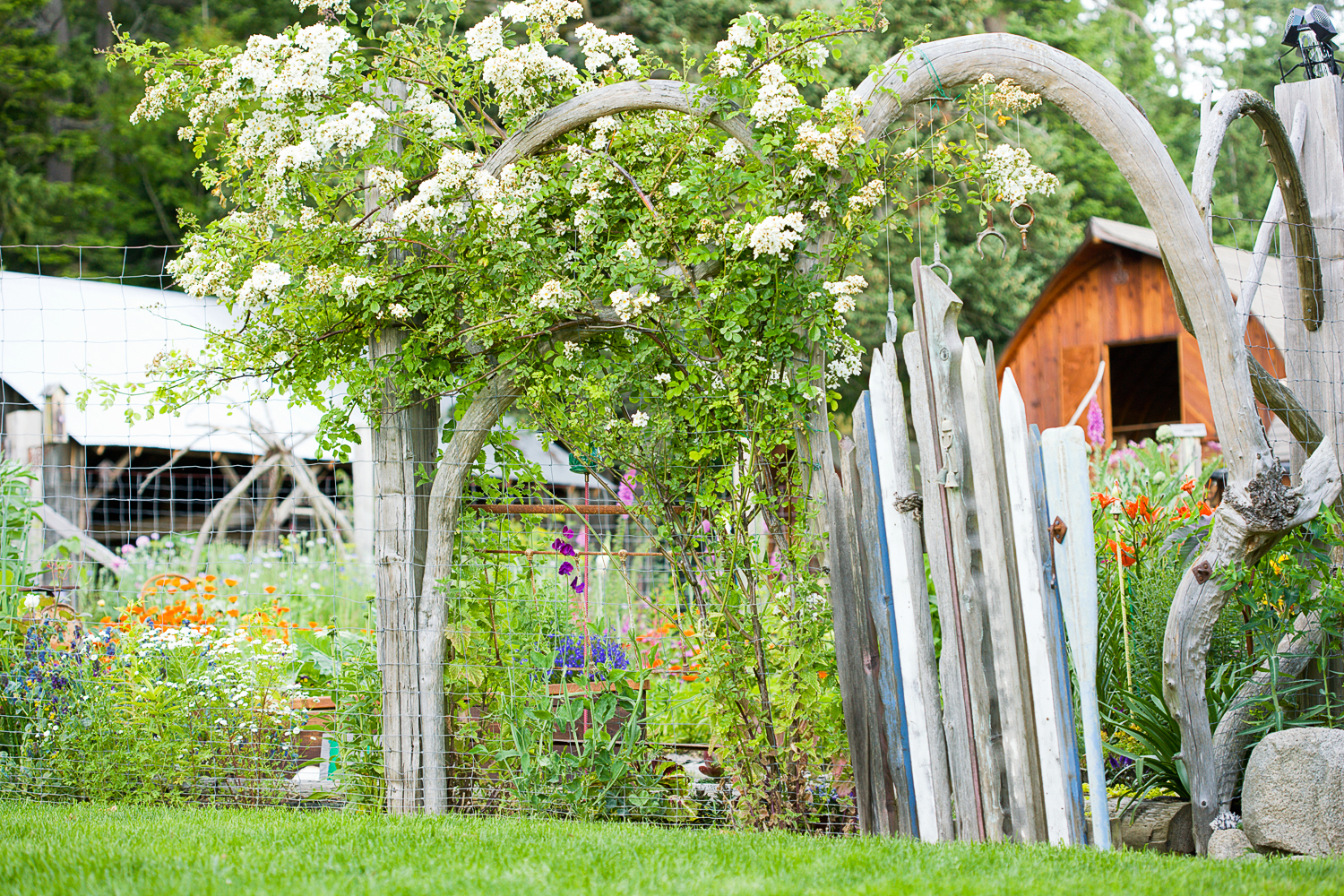 before-boat-paddles-after-garden-gate