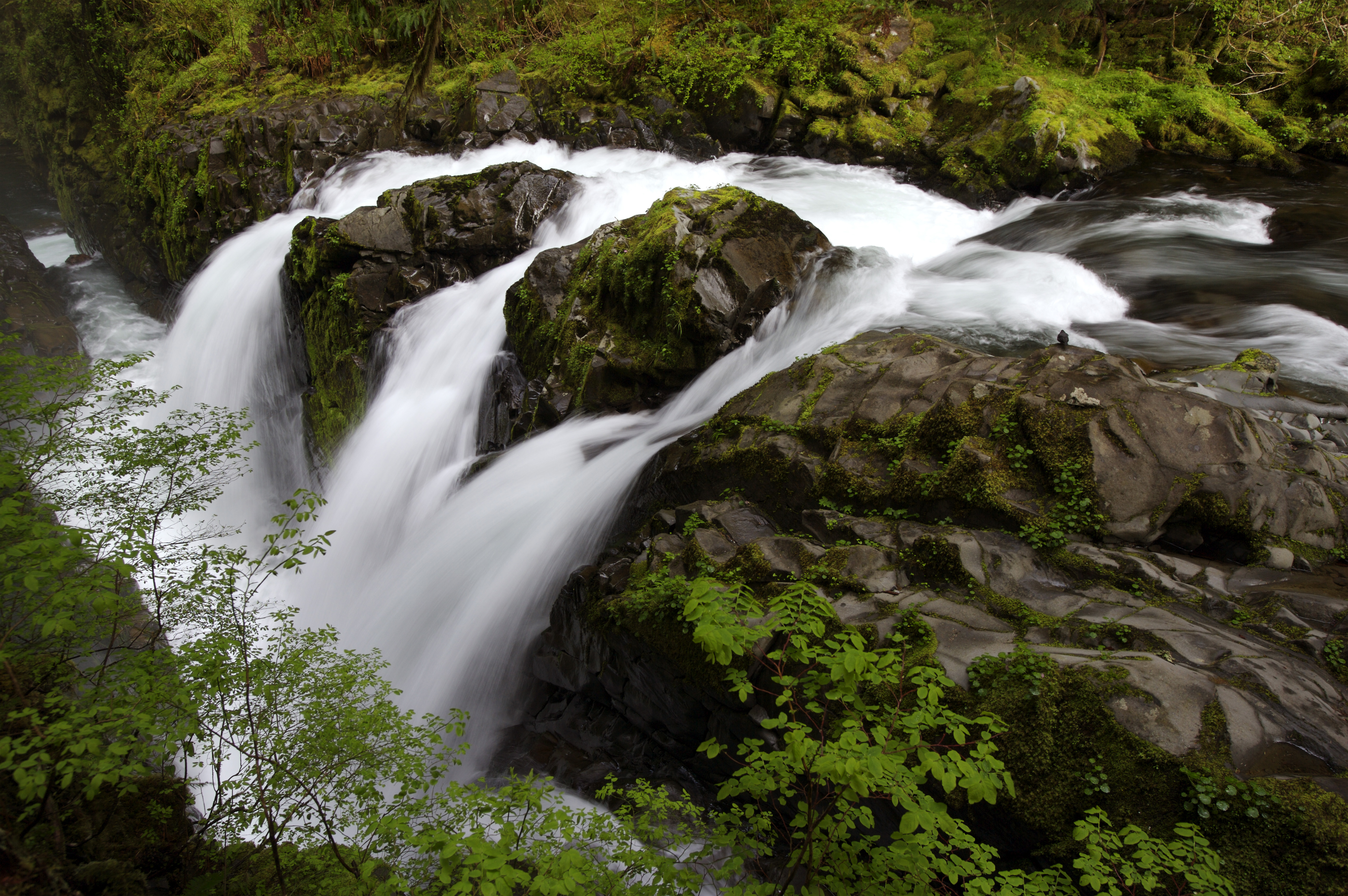 sol-duc-falls
