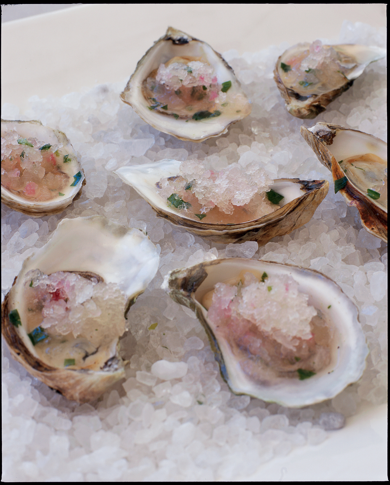 oysters-on-the-half-shell-with-grapefruit-granita