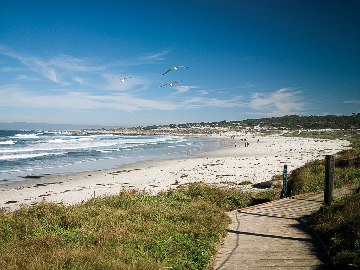 2-5-miles-wander-a-wild-beach