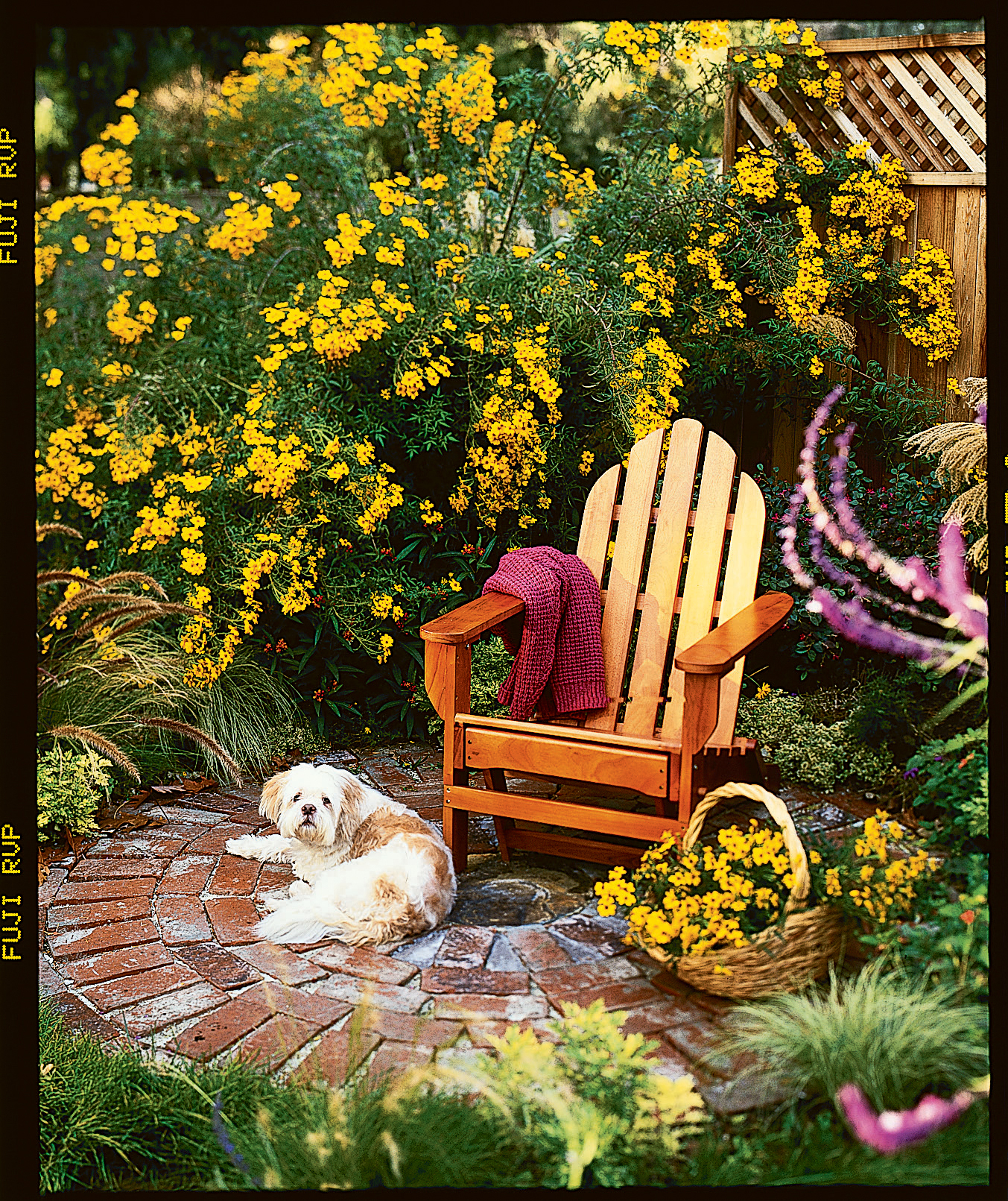 three-season-three-uses-fall