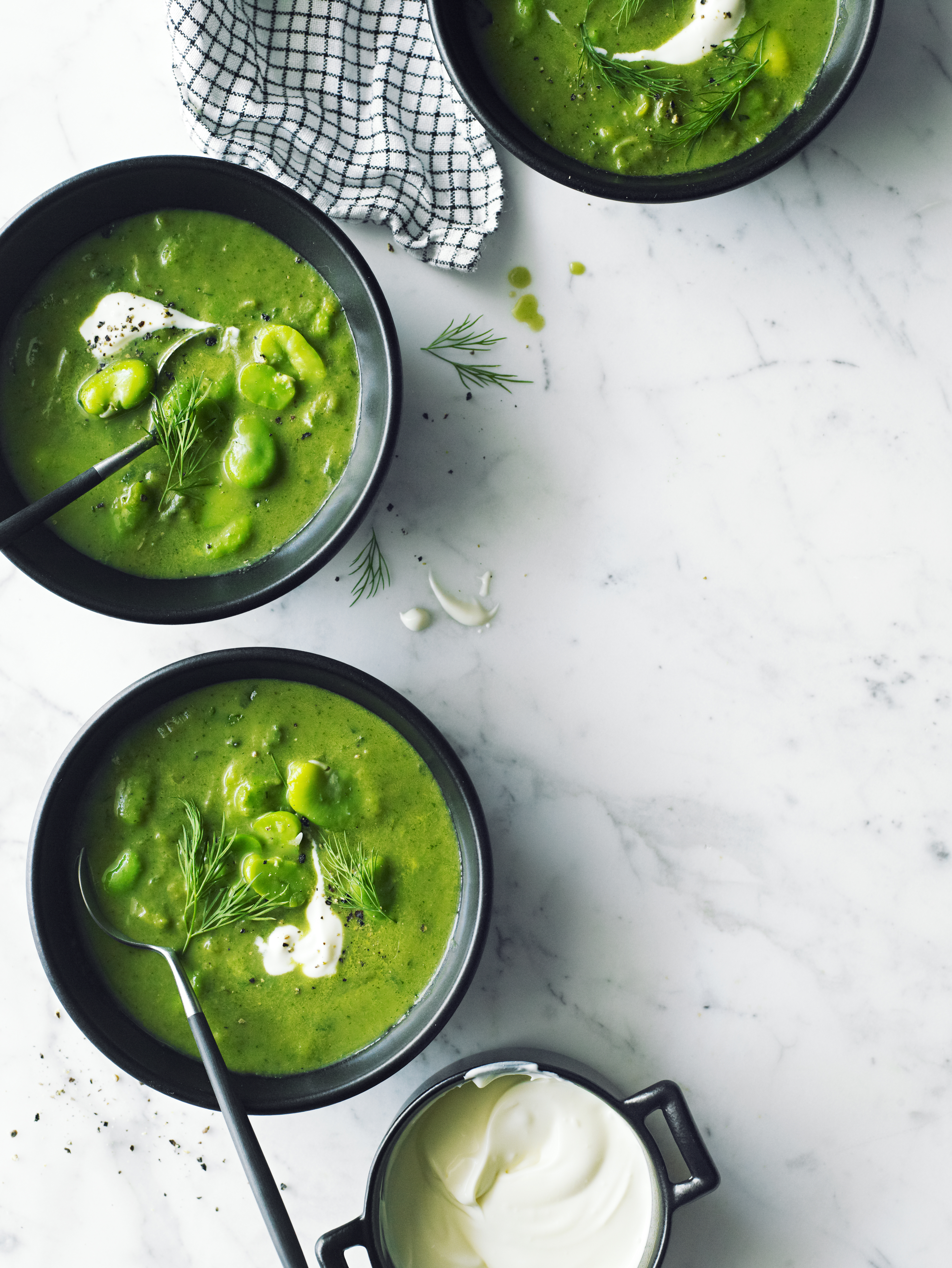 Leek, Lettuce, and Fava Soup