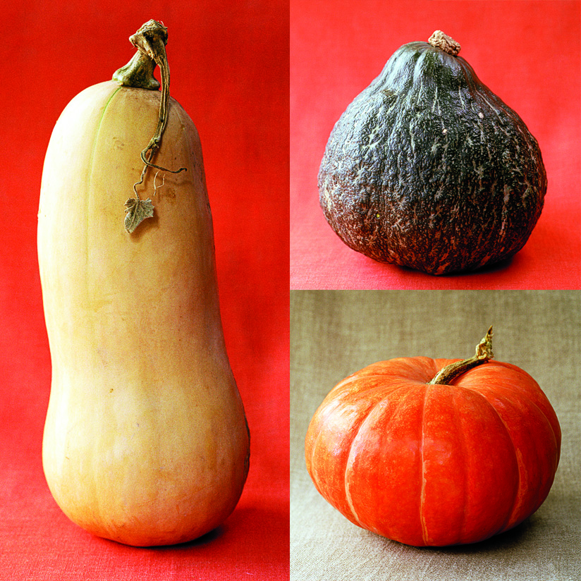 squash-for-decorating