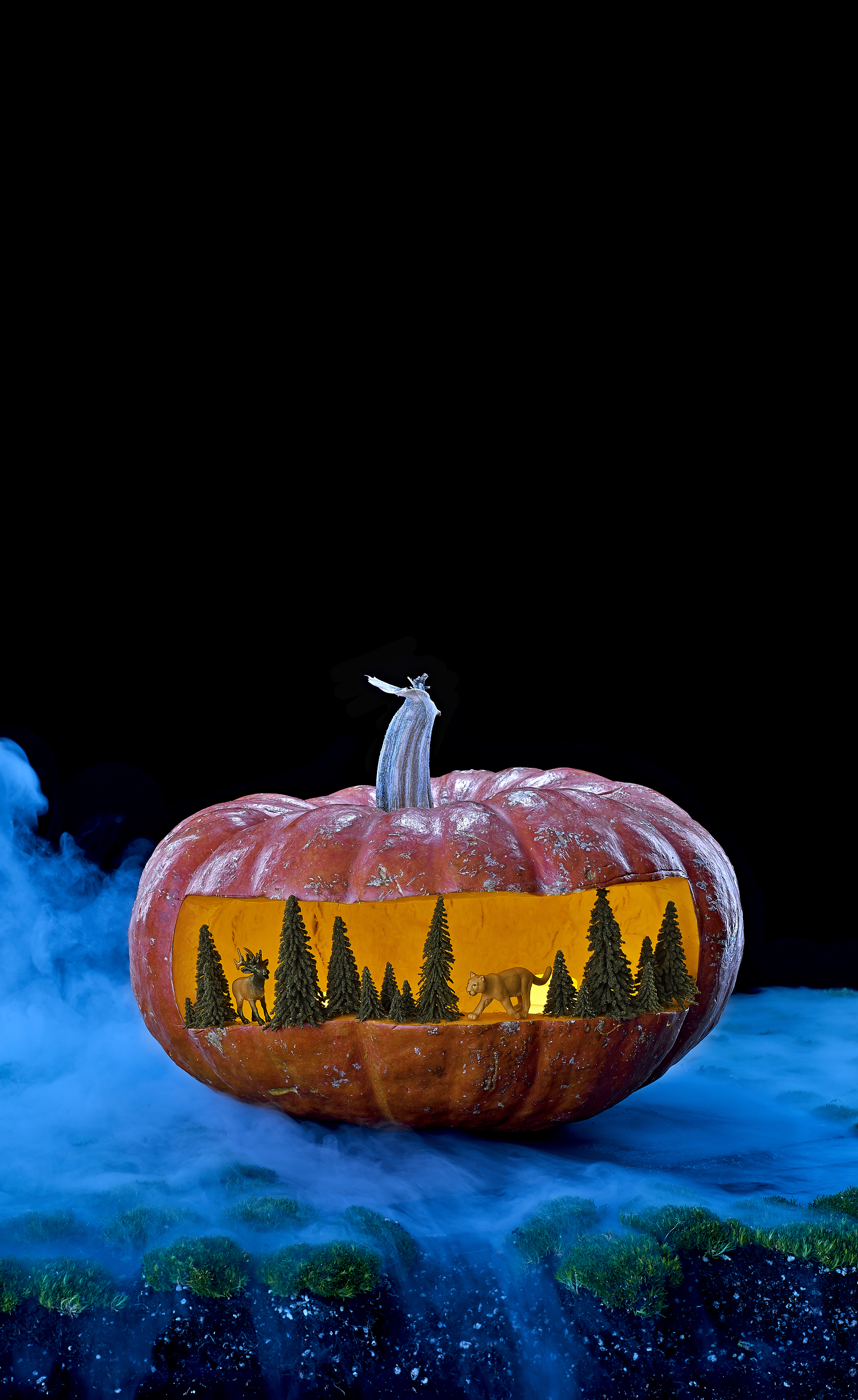 26 Fun Halloween Decorating Ideas