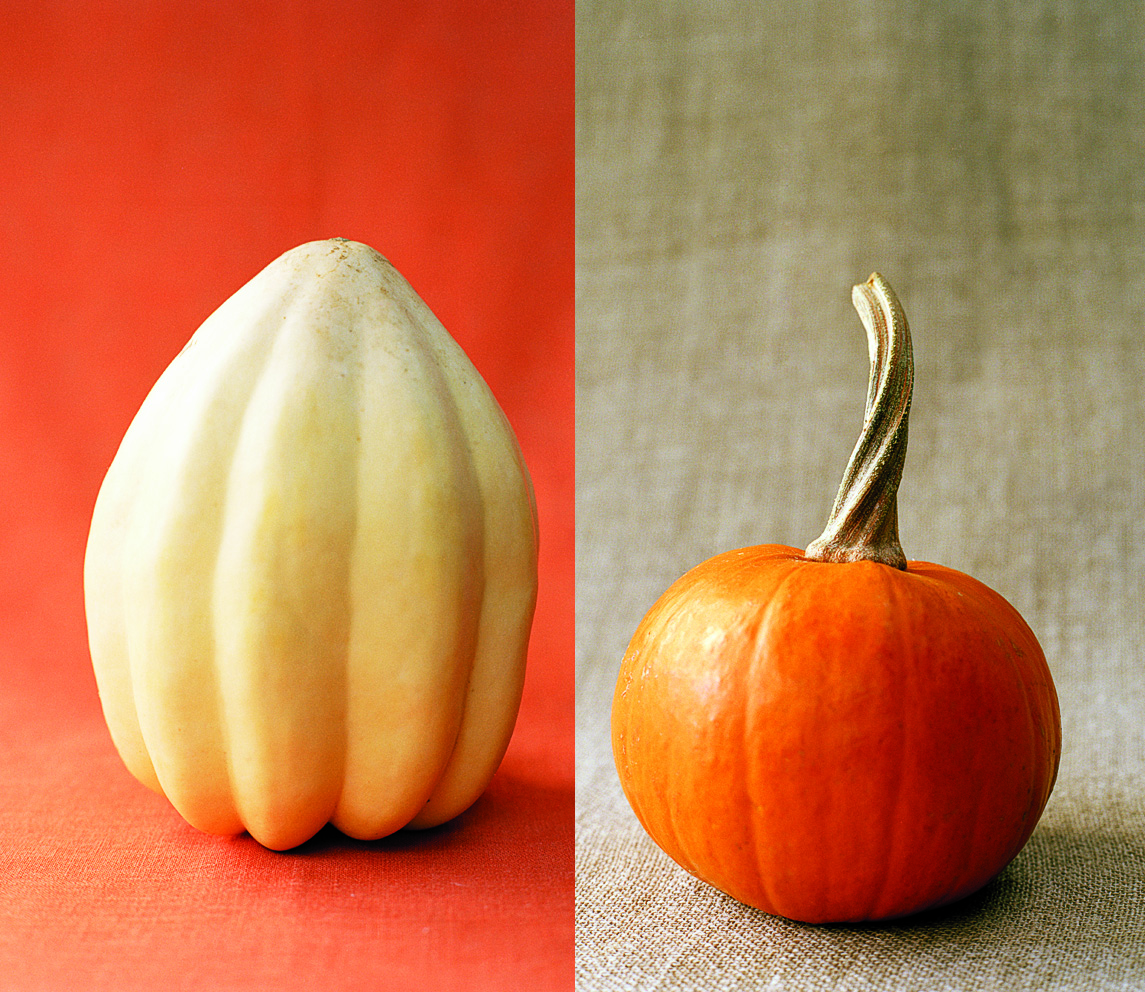 squash-for-decorating