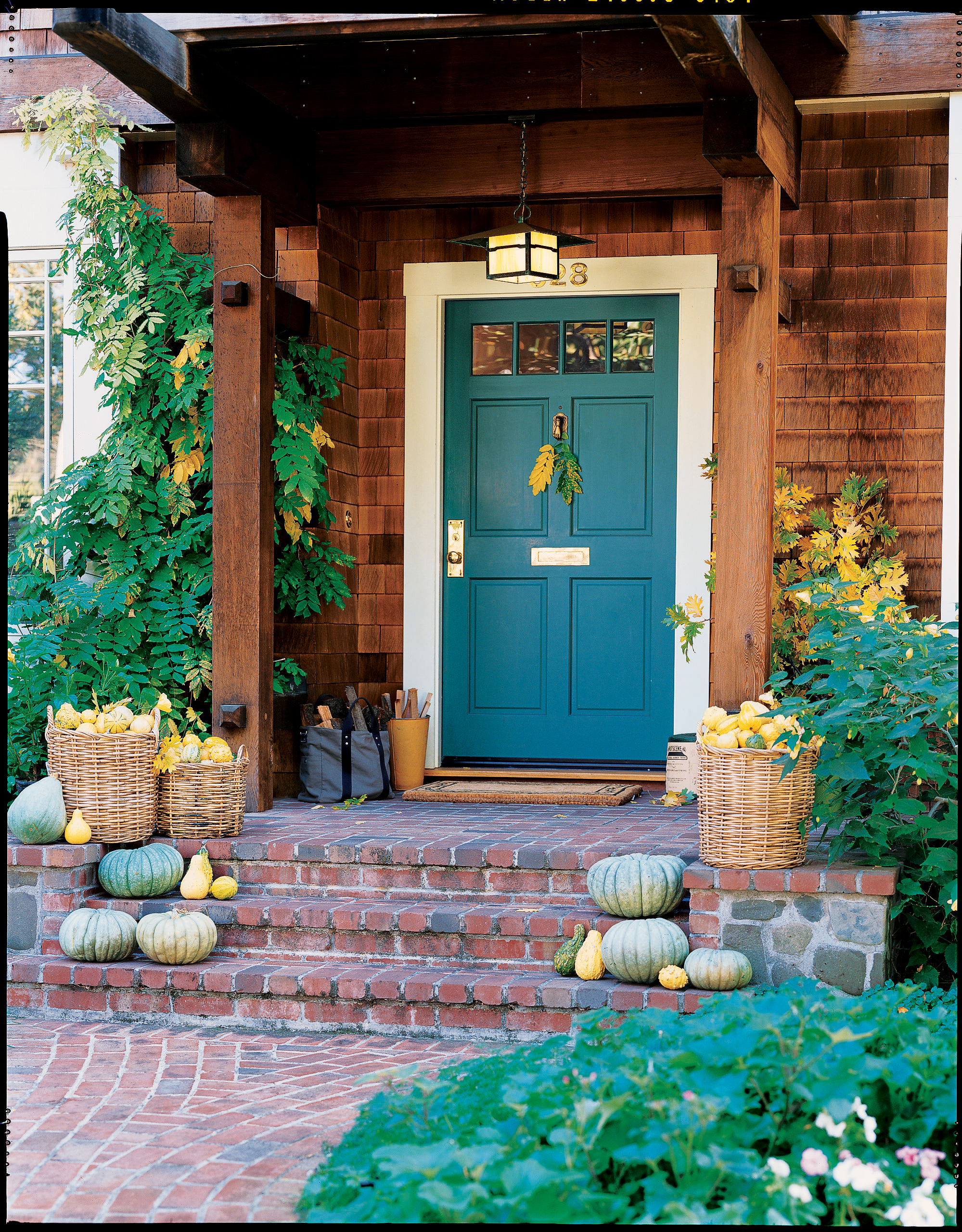 more-fall-color-tips