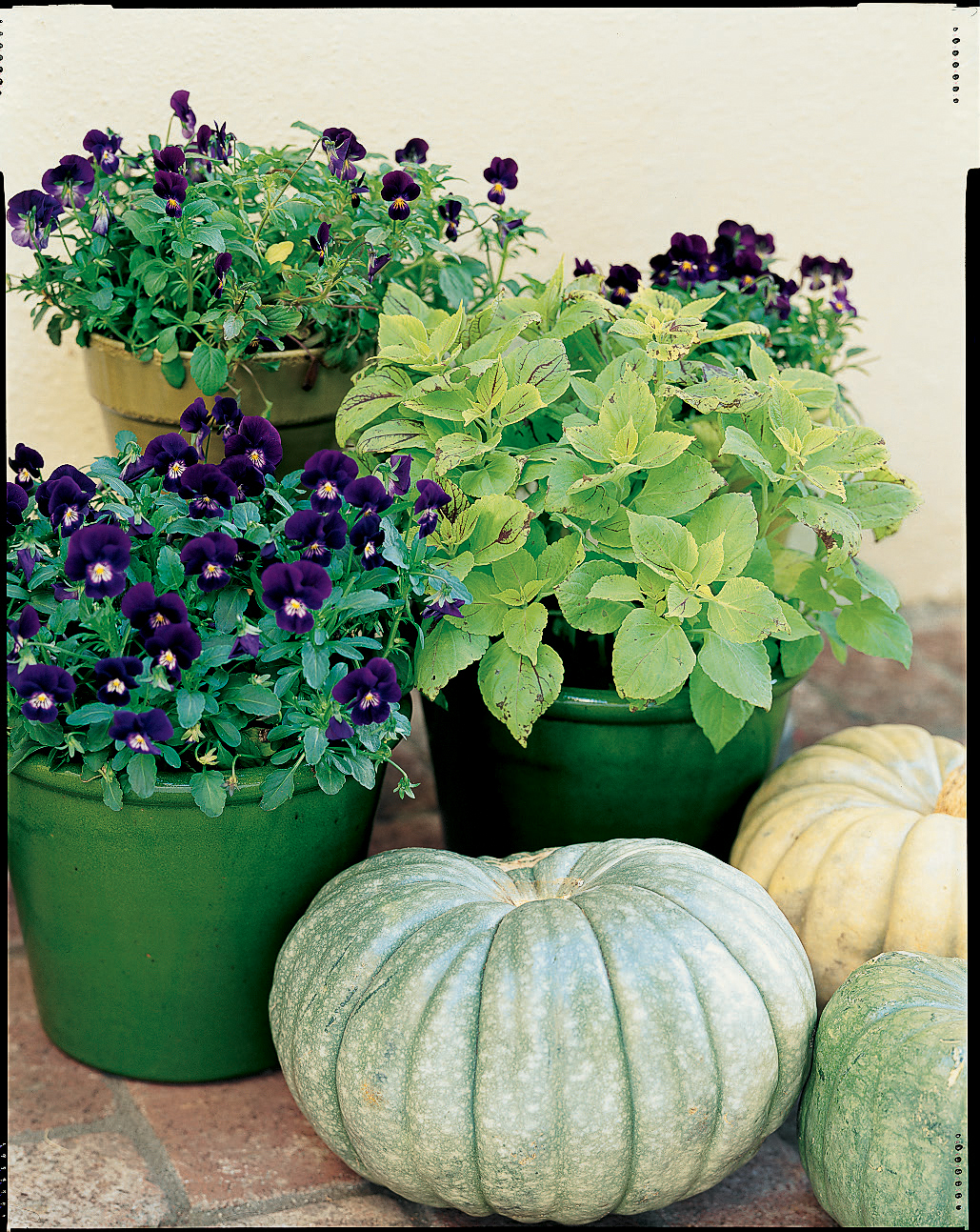 moody-purples-with-lime