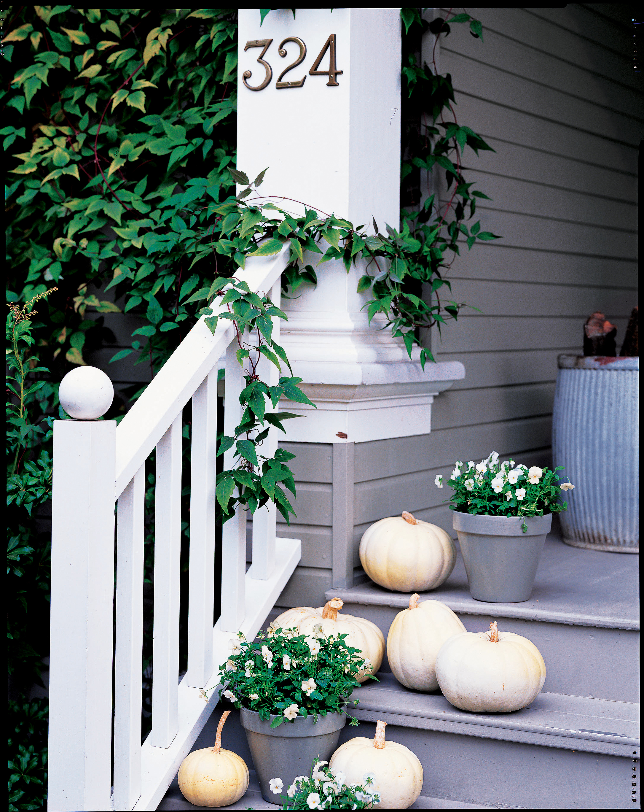 twilight-white-with-silver