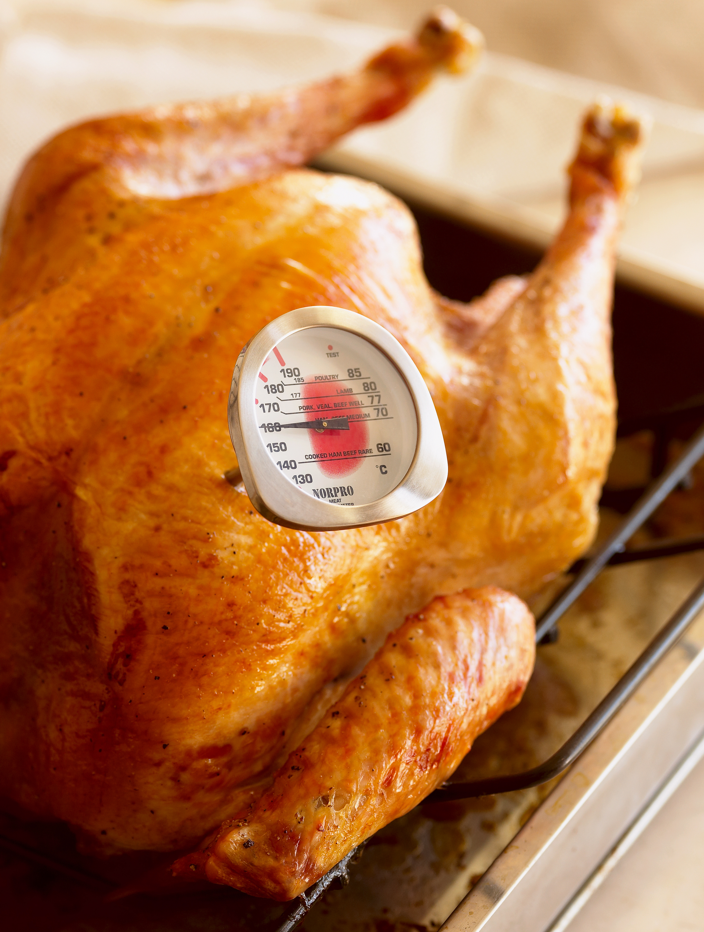 Your Biggest Thanksgiving Disasters, Shared