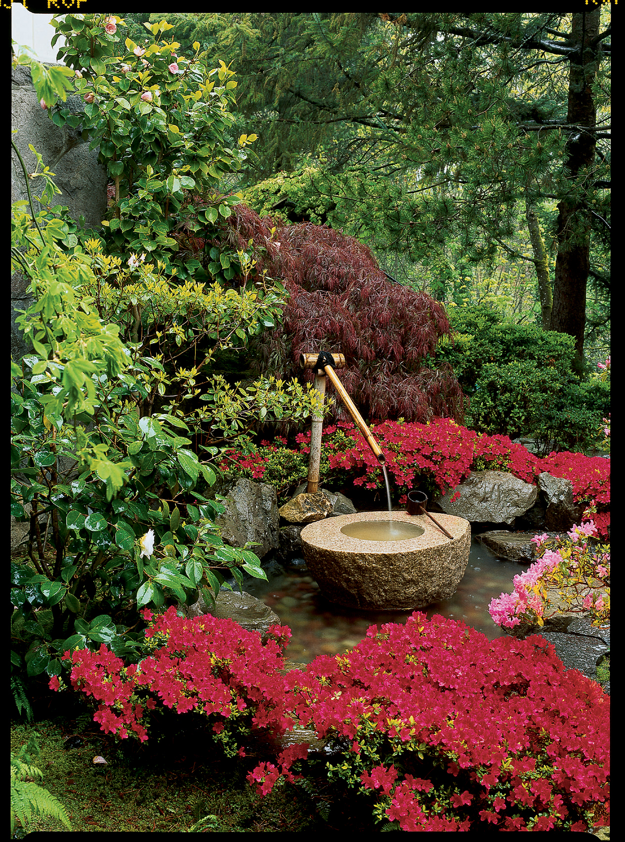 Portland, Oregon: Perfectly crafted