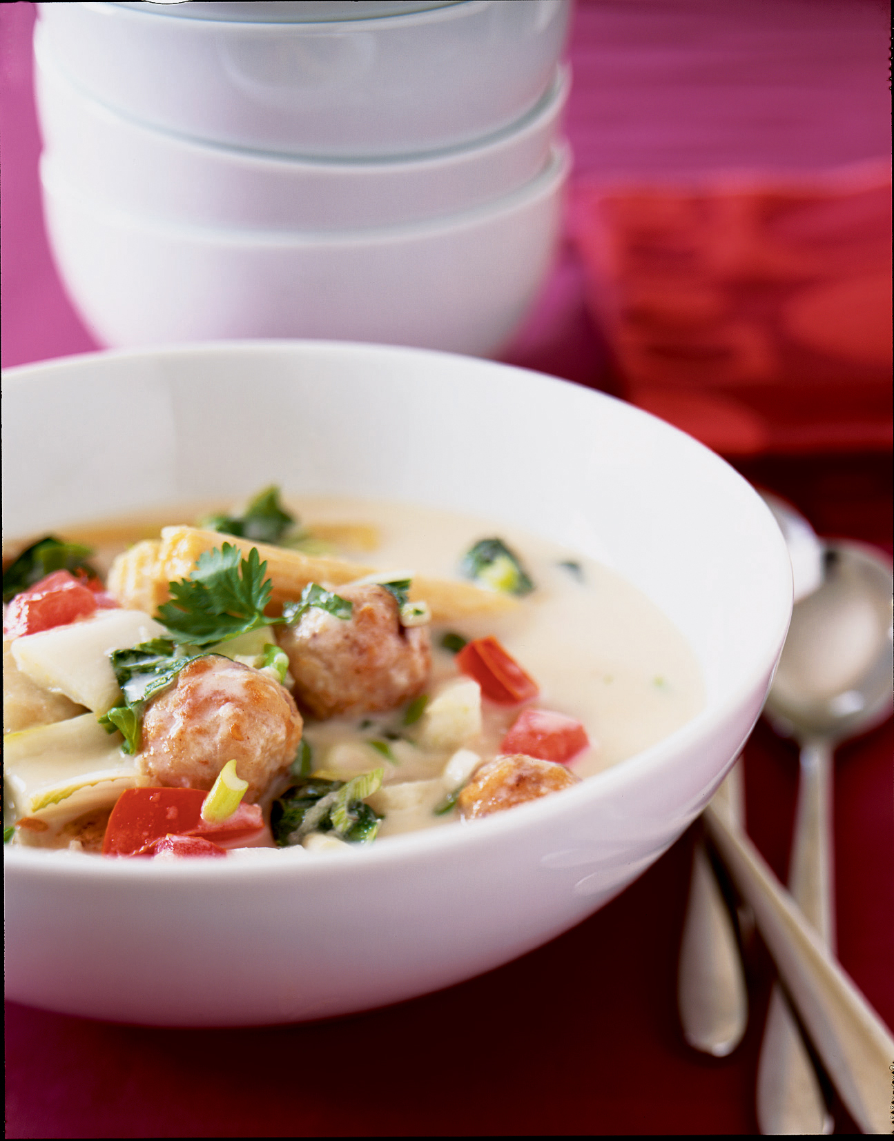 singapore-turkey-stew