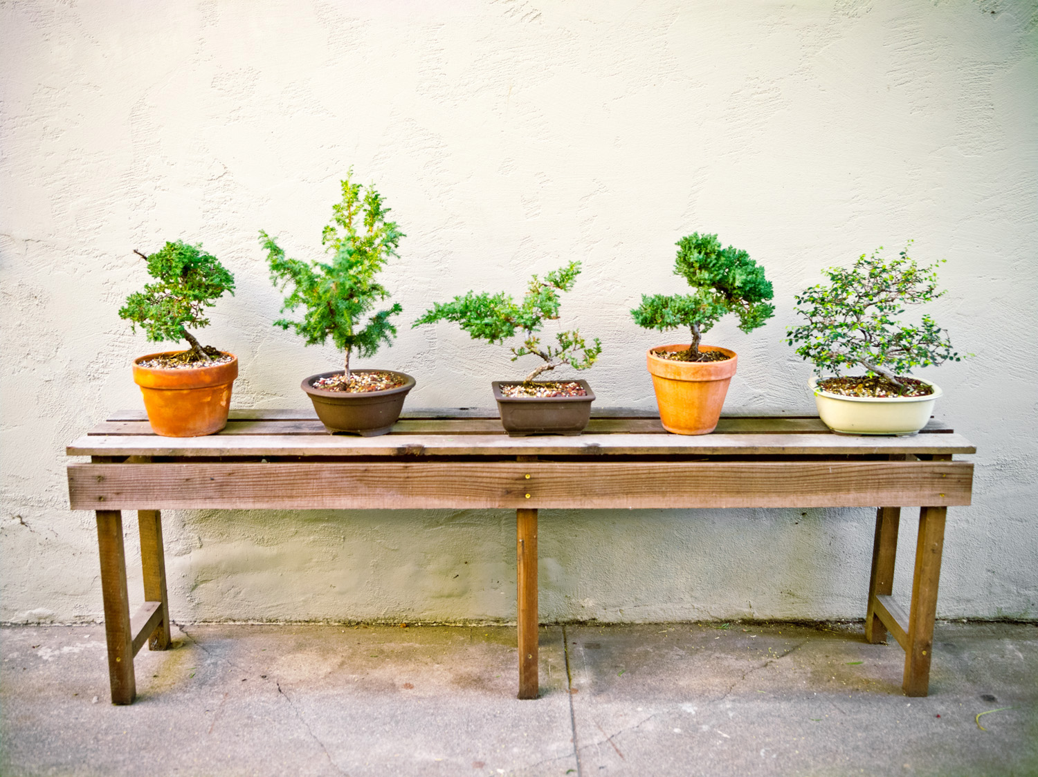 plus-5-cool-home-design-prototypes