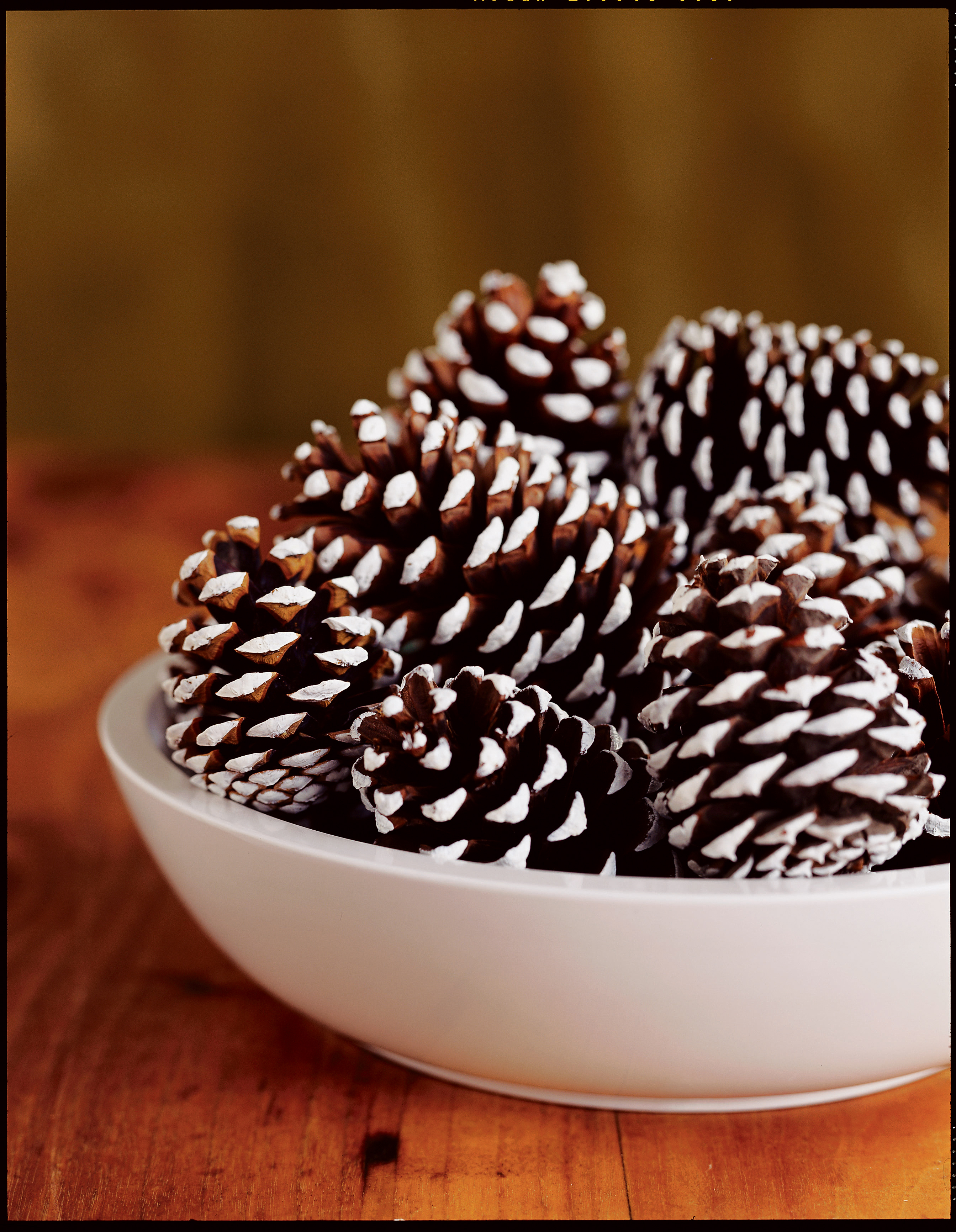 Snowy pinecone centerpiece