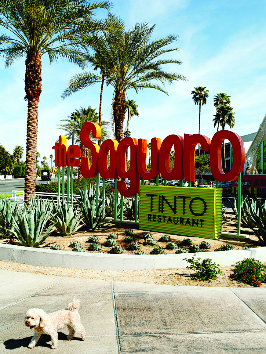 james-beard-level-tapas