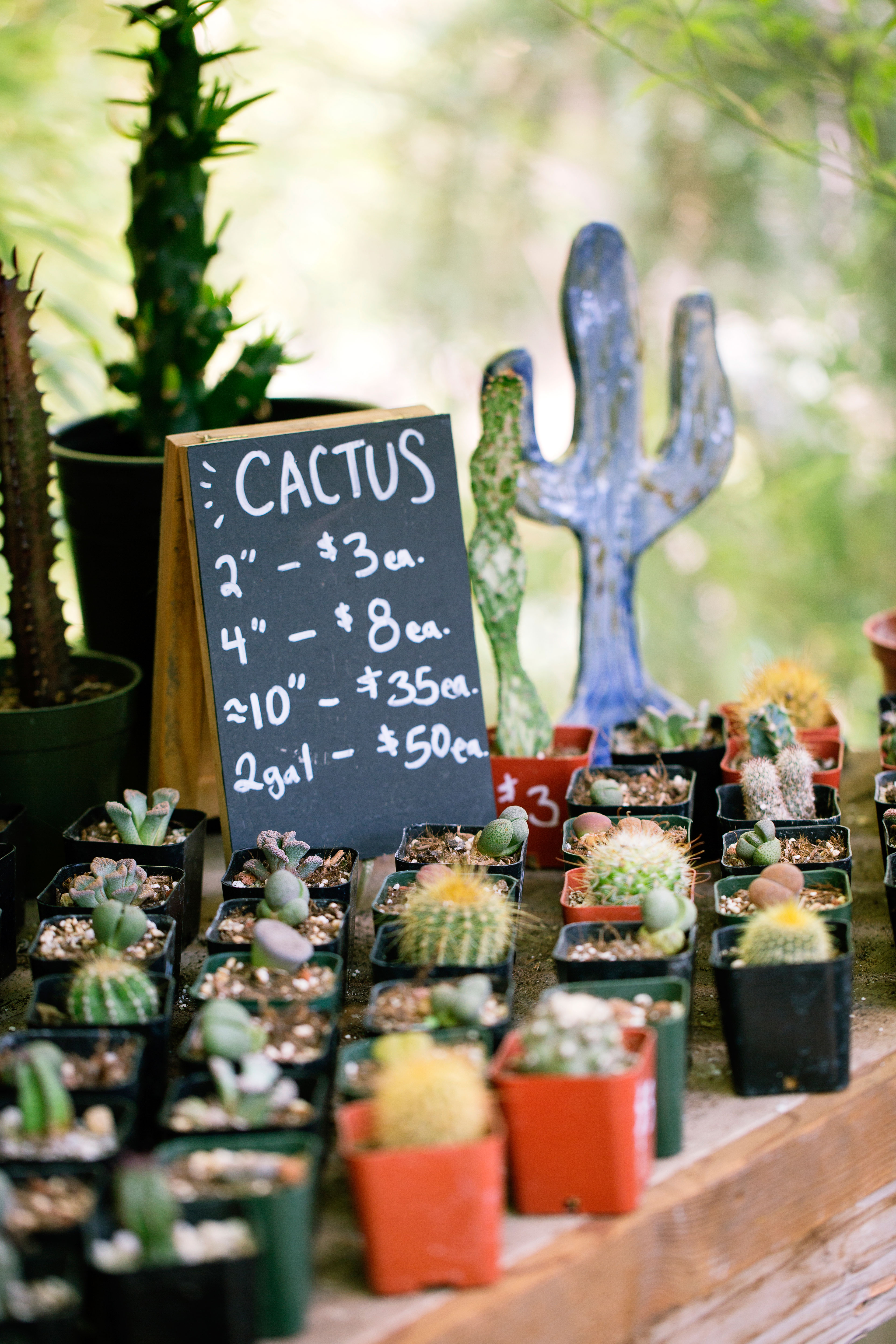 right-for-the-region