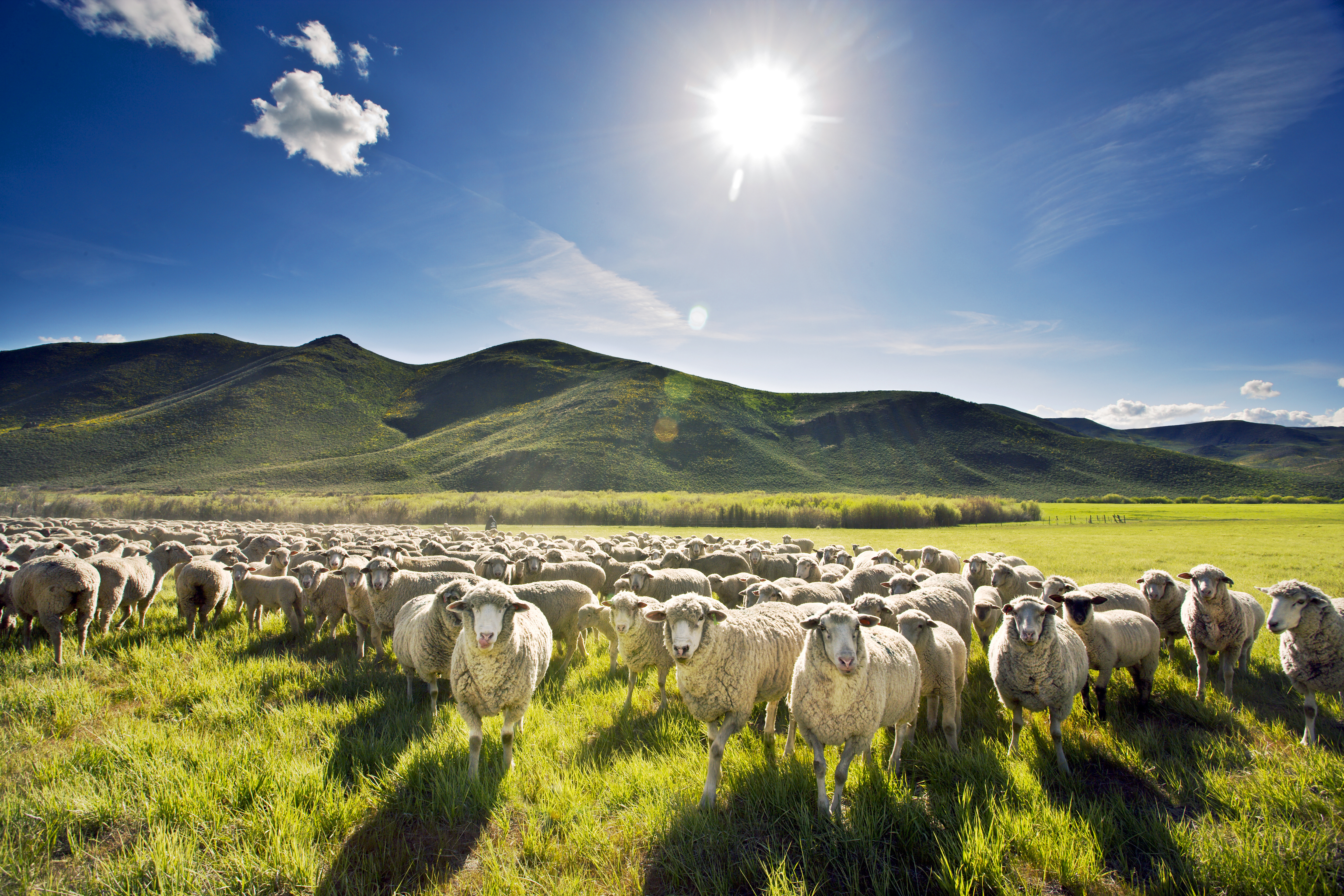 29-the-future-of-ranching-starts-here