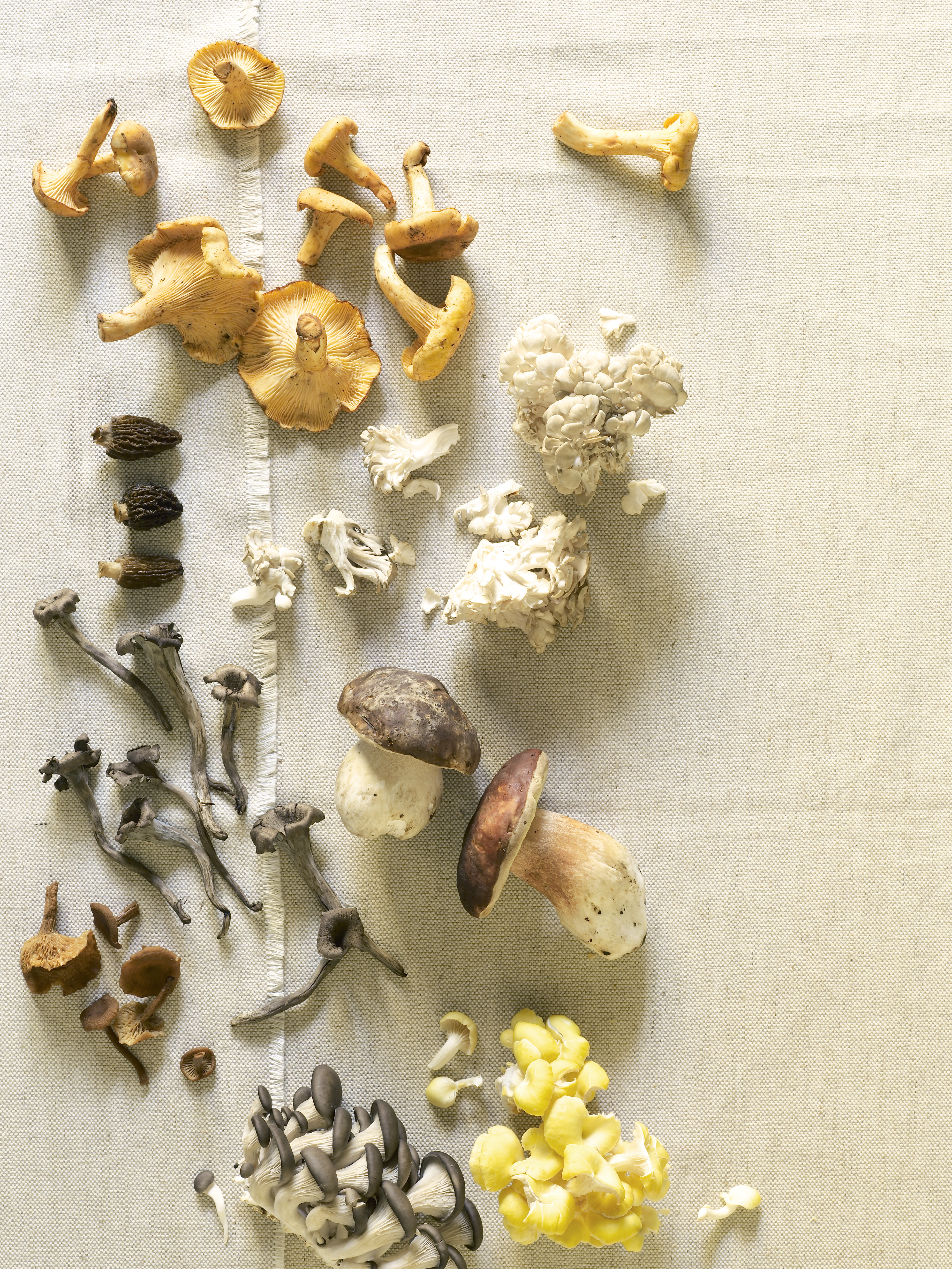 30-32-mushroom-fever