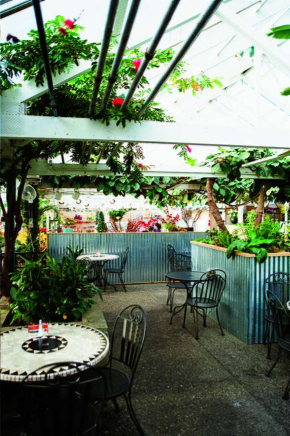 3-5-nurseries-are-the-new-bookstores