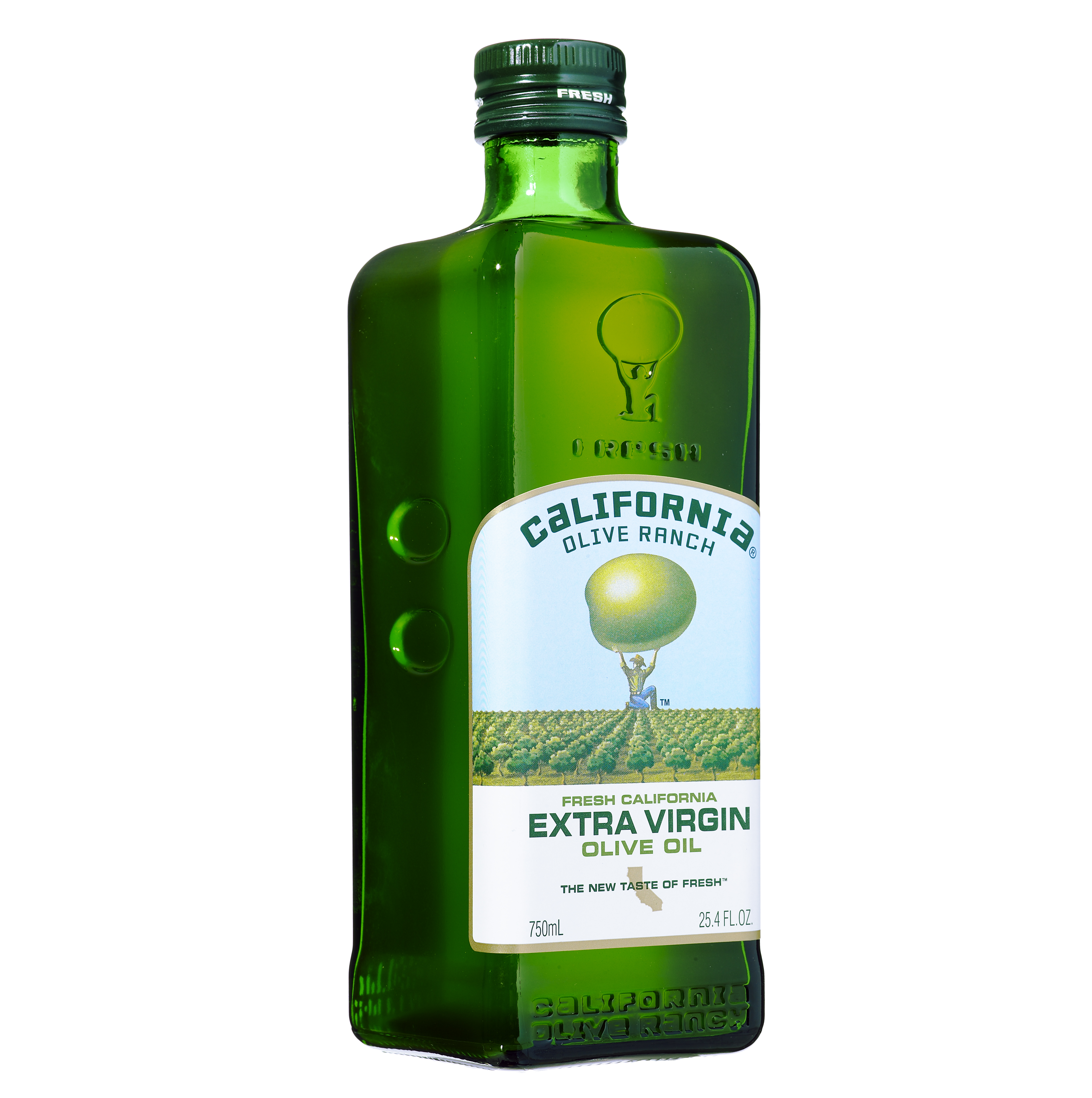 77-olive-oil-within-reach
