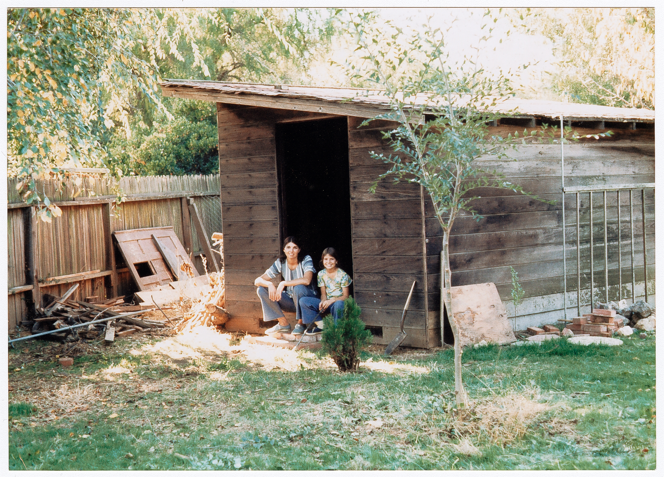garden-shed-makeover-before