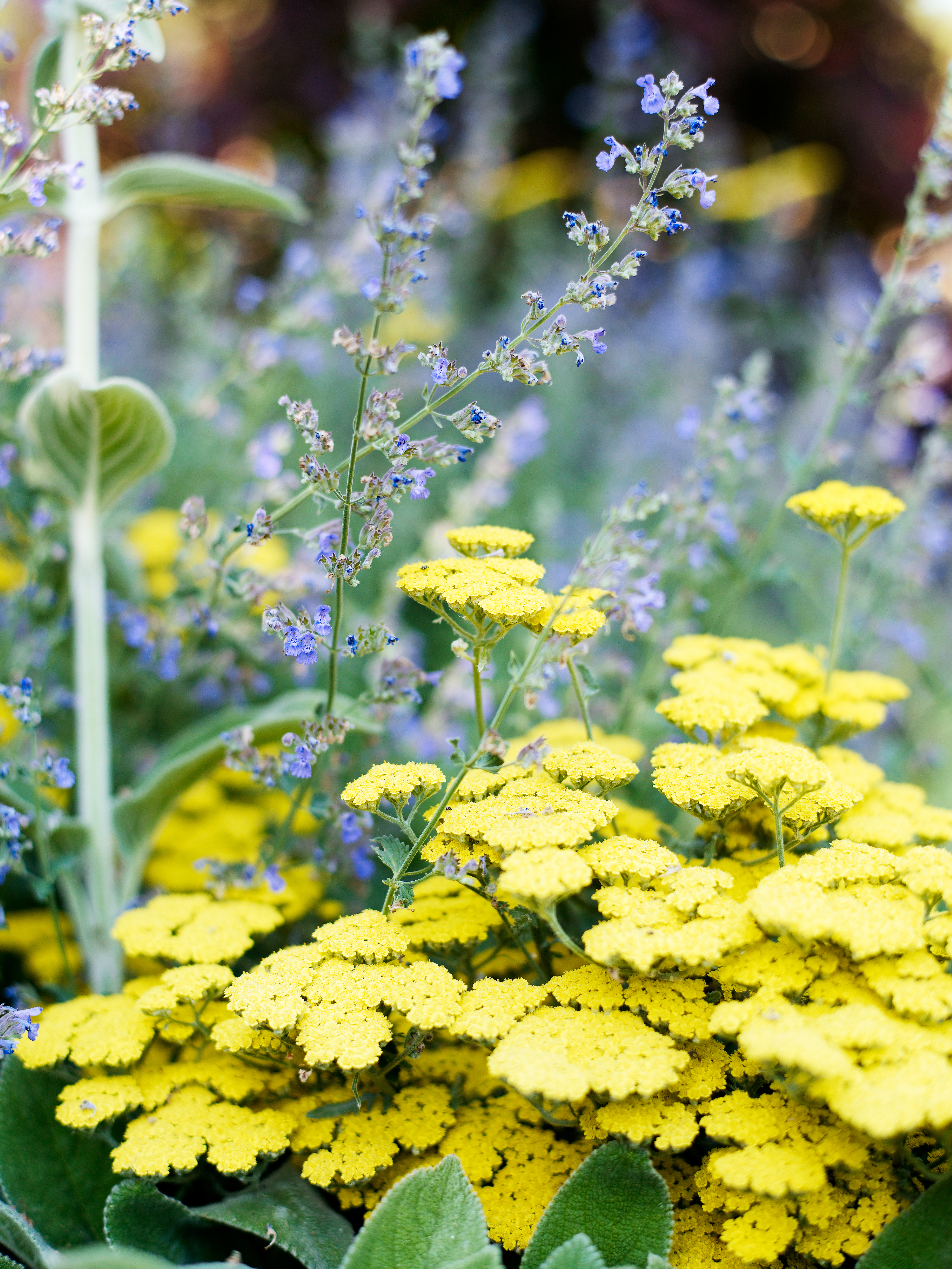 5 Simple Water-Saving Steps