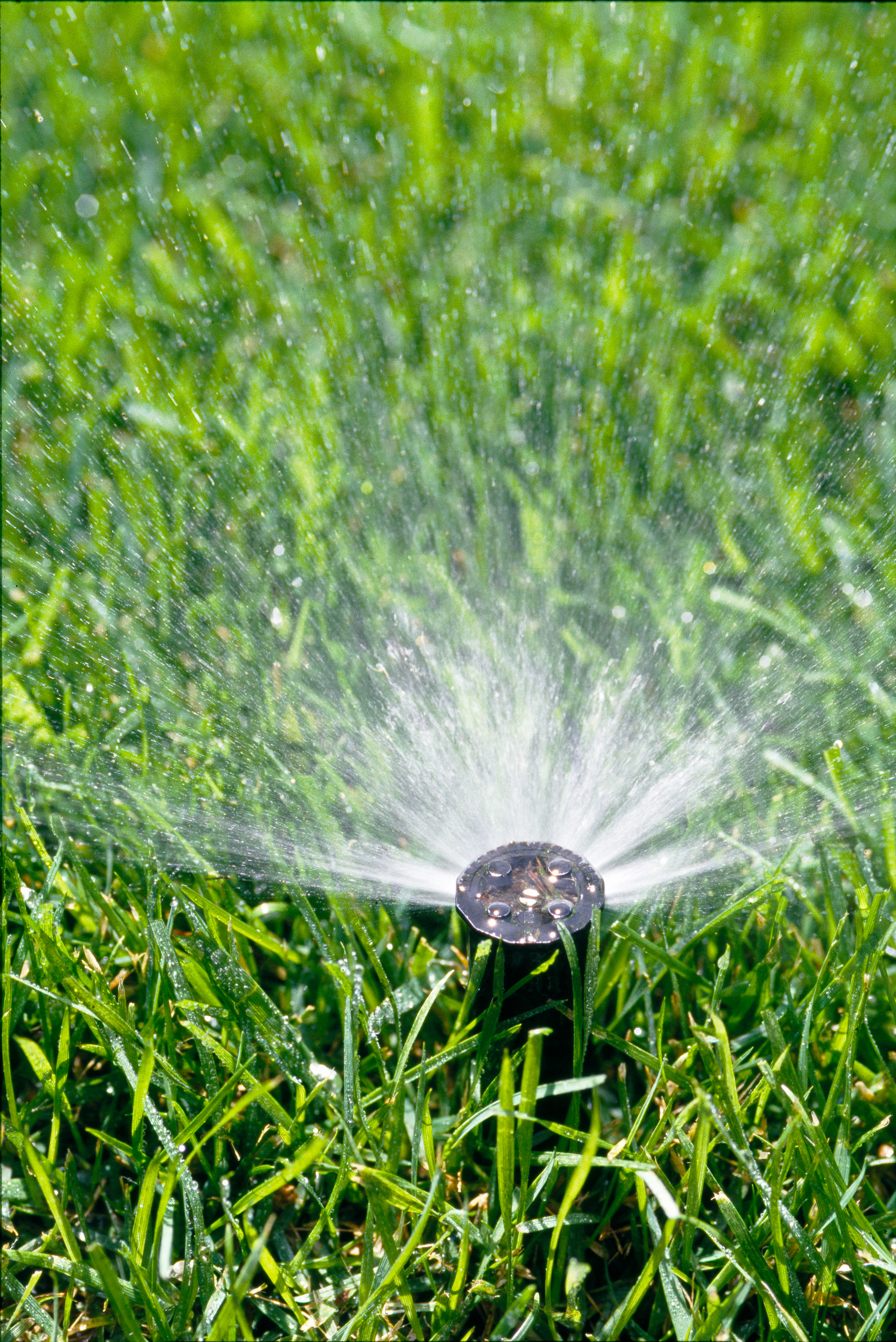 check-your-sprinklers