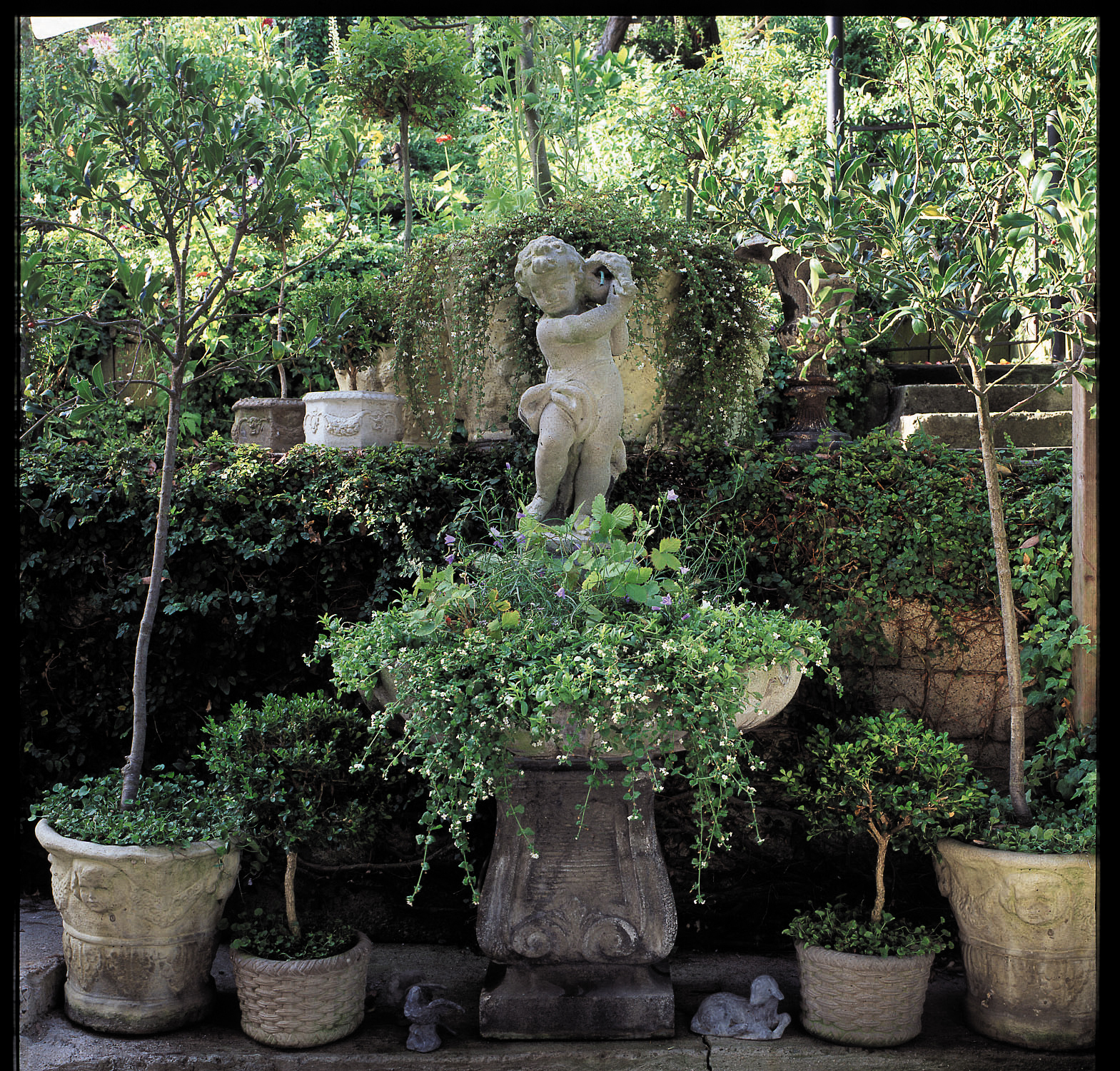 A fountain without water