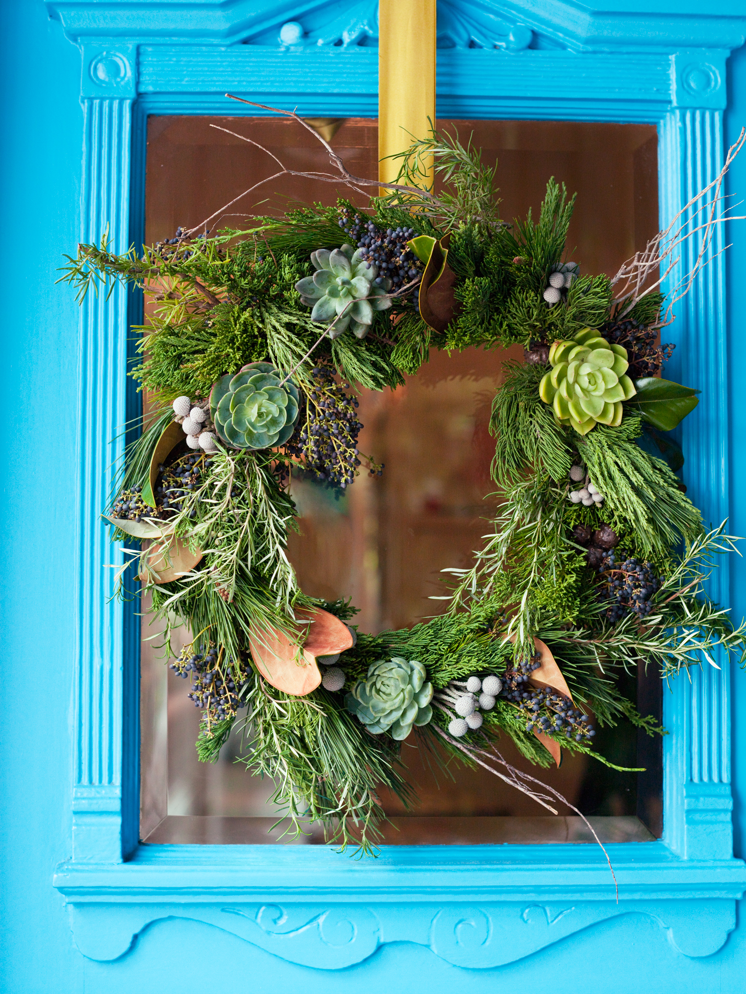 more-foraged-plants-to-use