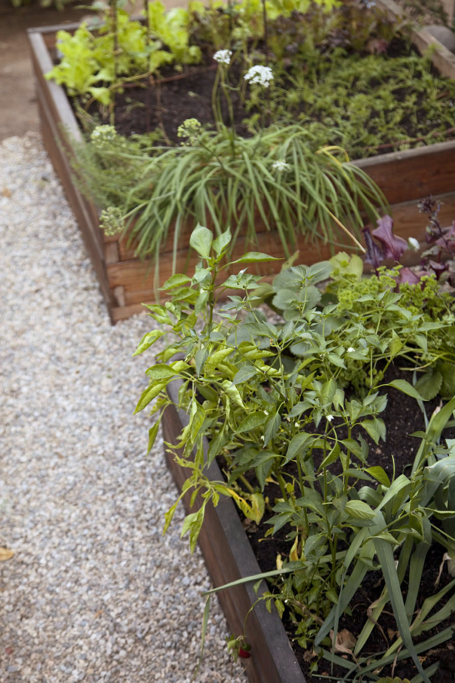 plan-for-how-youll-pick