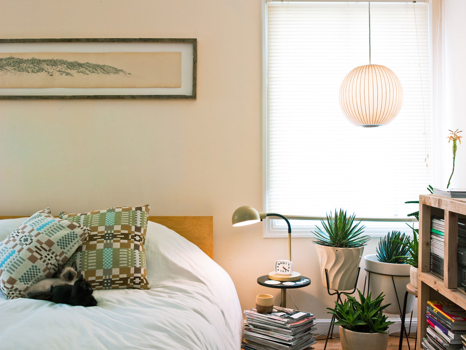 create-lots-of-views